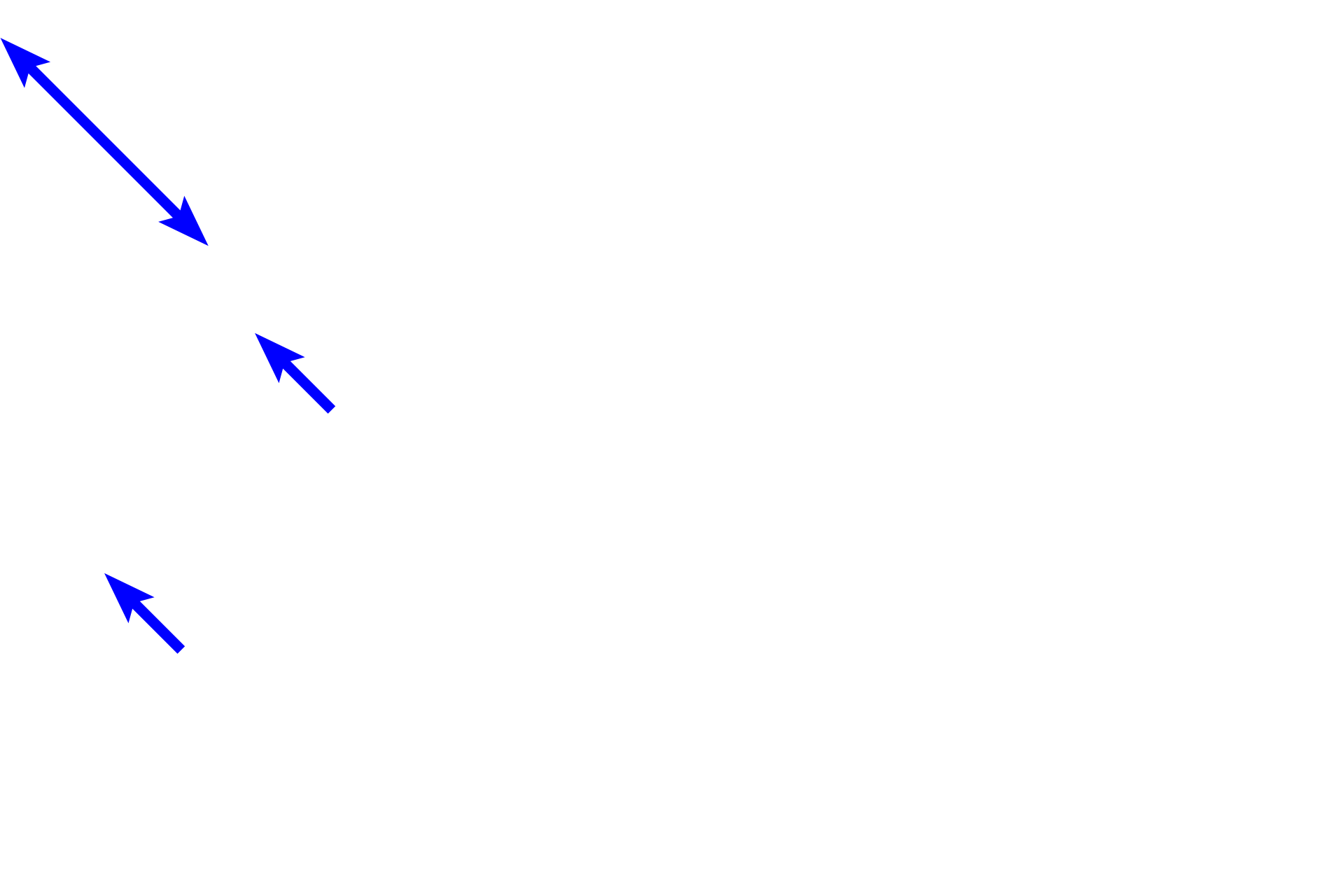 Smooth muscle longitudinal section <p>In the middle part of the muscularis externa of the esophagus, smooth muscle fibers and skeletal muscle fibers occur together.  In this field, compare the size of the fibers and location of the nuclei of these two muscle types.  Striations are also evident in the longitudinally-sectioned skeletal muscle fibers.  1000x</p>
