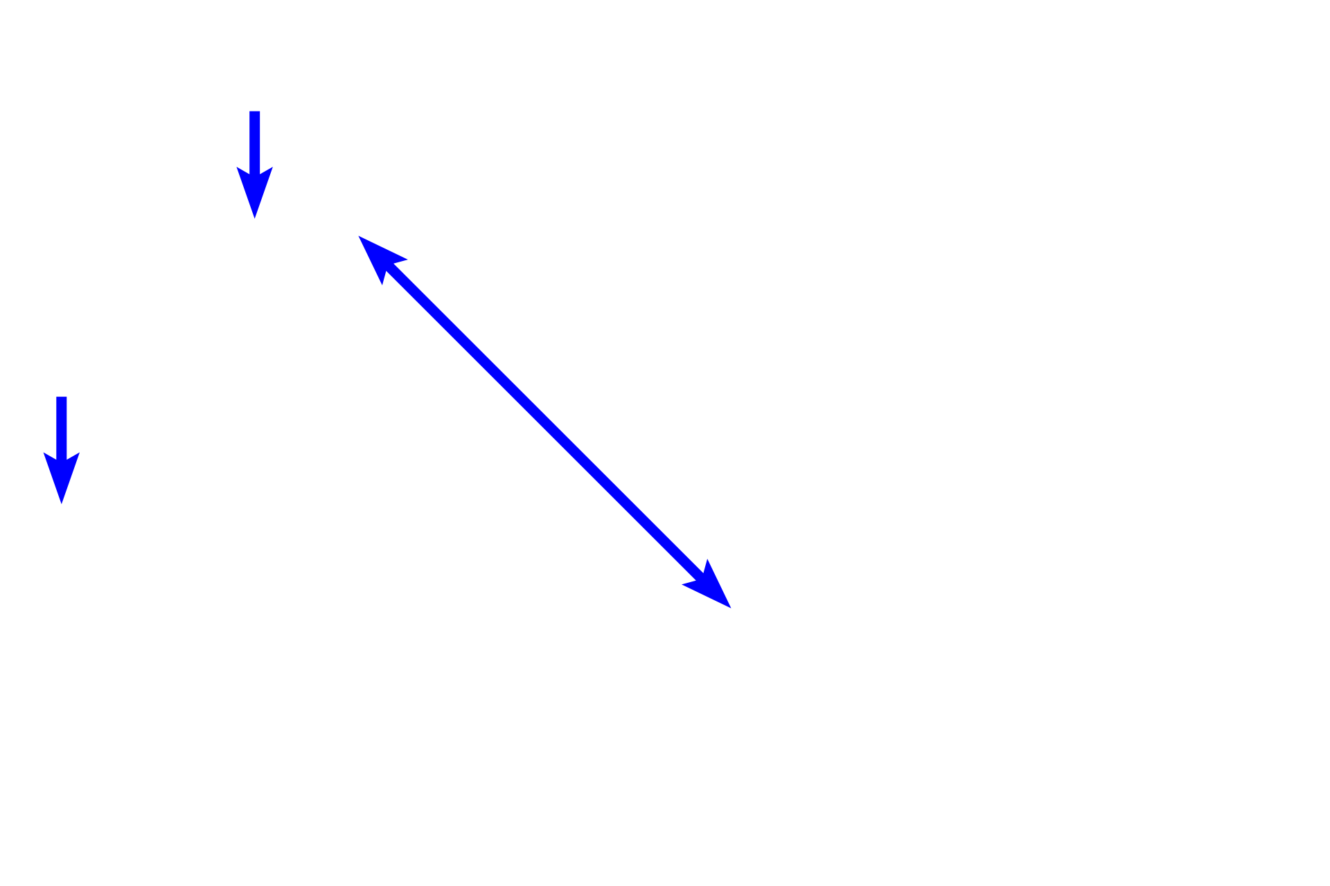 Skeletal muscle longitudinal section <p>In the middle part of the muscularis externa of the esophagus, smooth muscle fibers and skeletal muscle fibers occur together.  In this field, compare the size of the fibers and location of the nuclei of these two muscle types.  Striations are also evident in the longitudinally-sectioned skeletal muscle fibers.  1000x</p>
