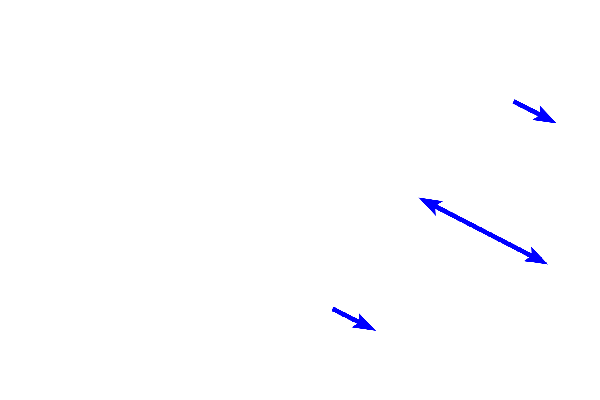 Skeletal muscle cross section <p>In the middle part of the muscularis externa of the esophagus, smooth muscle fibers and skeletal muscle fibers occur together.  In this field, compare the size of the fibers and location of the nuclei of these two muscle types.  Striations are also evident in the longitudinally-sectioned skeletal muscle fibers.  1000x</p>

