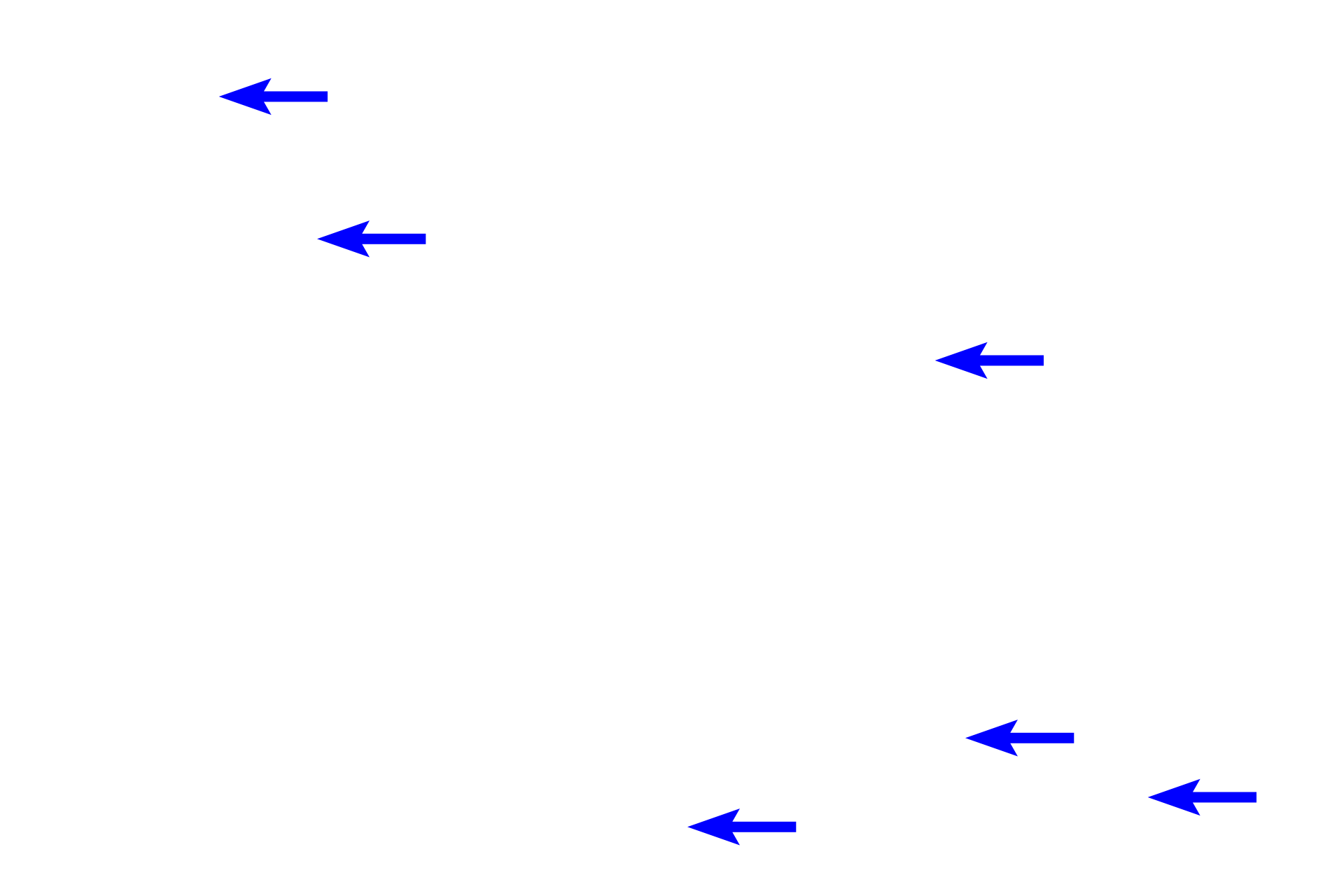 Smooth muscle nuclei <p>In the middle part of the muscularis externa of the esophagus, smooth muscle fibers and skeletal muscle fibers occur together.  In this field, compare the size of the fibers and location of the nuclei of these two muscle types.  Striations are also evident in the longitudinally-sectioned skeletal muscle fibers.  1000x</p>
