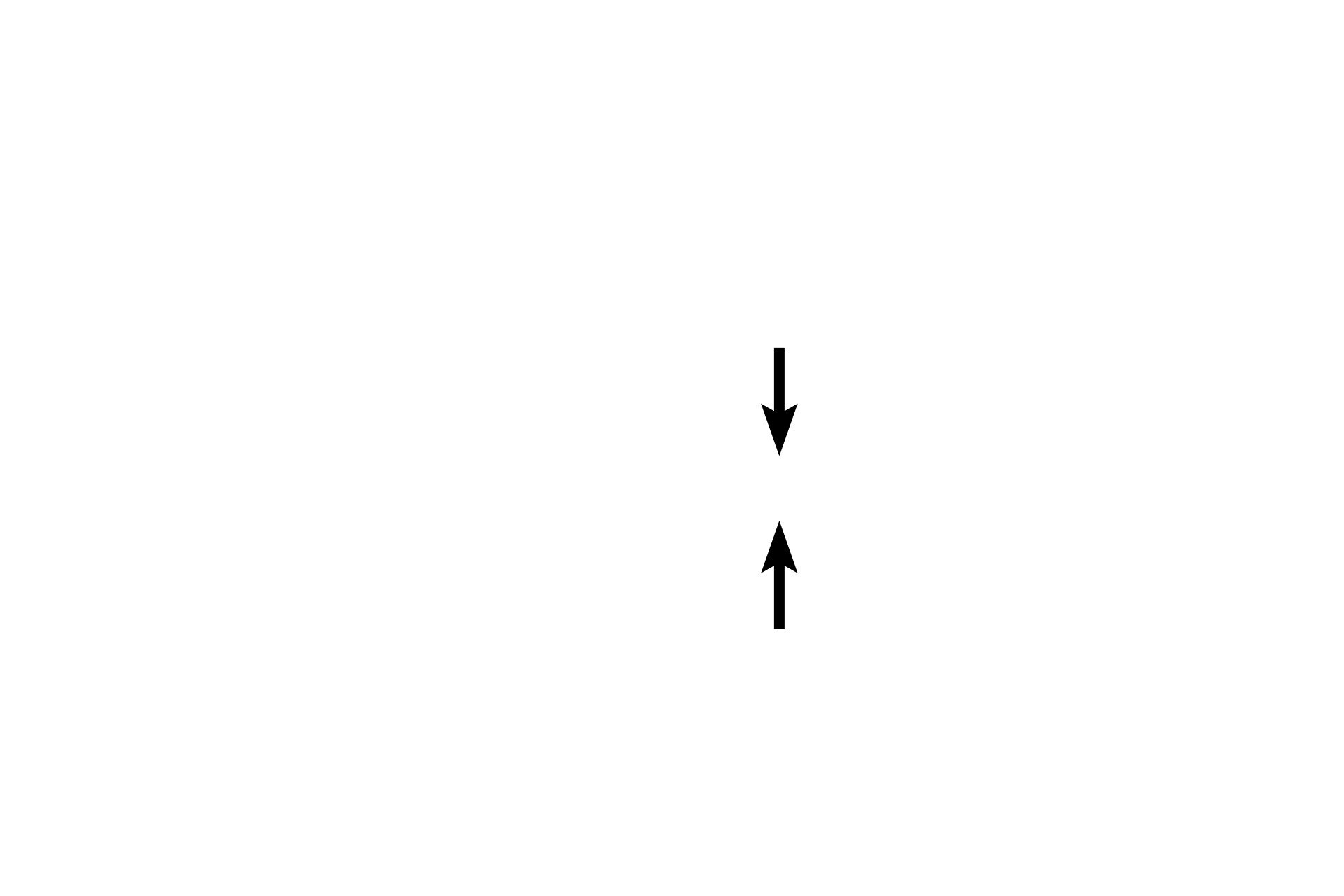 Recto-anal junction <p>The epithelium changes abruptly at the junction of the rectum (simple columnar) with the anal canal (stratified squamous moist); a more gradual transition occurs between the anal canal and anus.  The inner circular layer of the muscularis externa thickens terminally as the internal anal sphincter.  The outer longitudinal band blends with the adventitia.  The external anal sphincter is composed of skeletal muscle.  40x</p>

