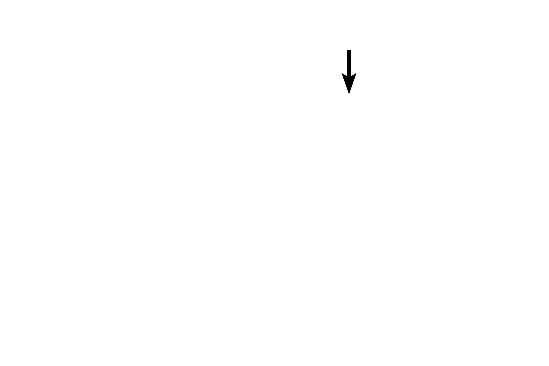  - Hair follicle <p>The epithelium changes abruptly at the junction of the rectum (simple columnar) with the anal canal (stratified squamous moist); a more gradual transition occurs between the anal canal and anus.  The inner circular layer of the muscularis externa thickens terminally as the internal anal sphincter.  The outer longitudinal band blends with the adventitia.  The external anal sphincter is composed of skeletal muscle.  40x</p>
