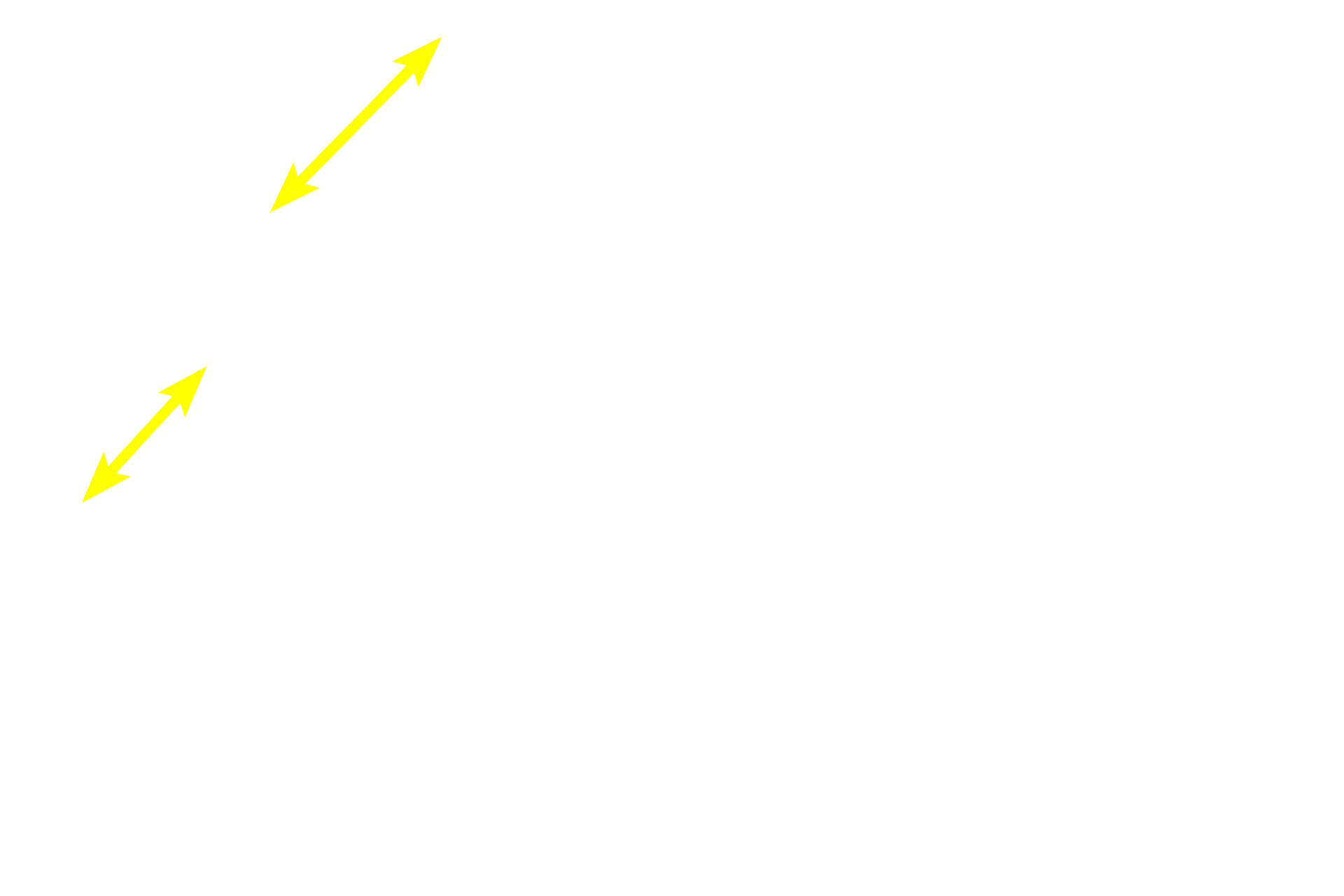 Intestinal glands <p>At higher magnification the bases of the intestinal glands (crypts of Lieberkuhn) can be seen adjacent to the bilaminar muscularis mucosae.  Numerous small blood vessels and capillaries are obvious in the submucosa.  400x</p>
