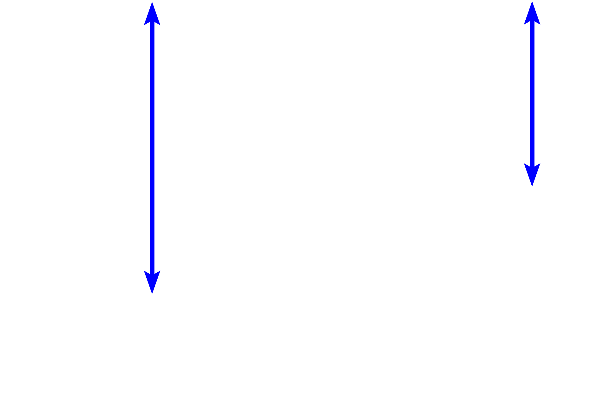 Submucosa <p>At higher magnification, four neuronal cell bodies can be seen in this ganglion of the submucosal plexus.  Located in the submucosa, this plexus primarily supplies smooth muscle of the muscularis mucosae.  800x</p>
