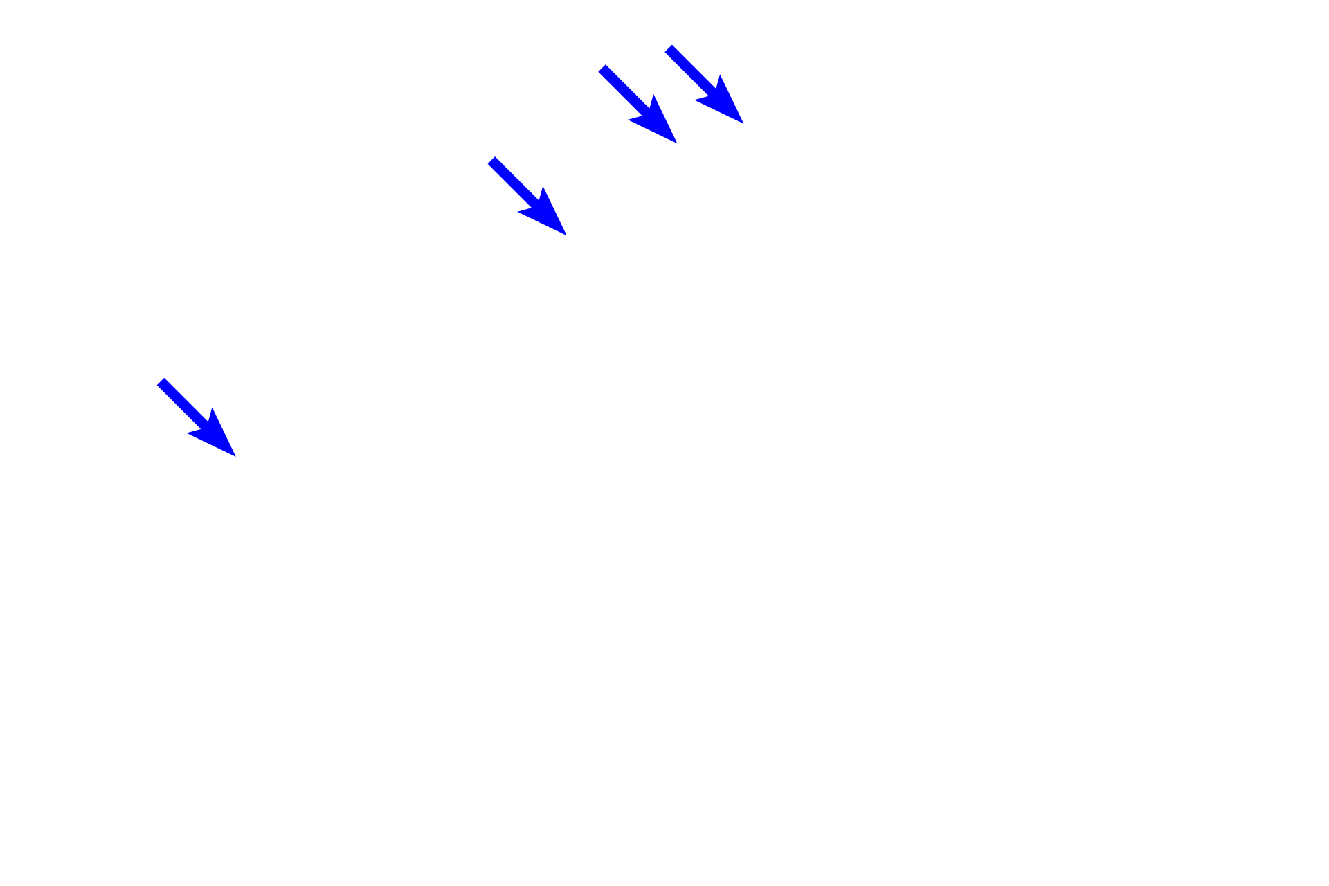  - Neuron cell bodies <p>At higher magnification, four neuronal cell bodies can be seen in this ganglion of the submucosal plexus.  Located in the submucosa, this plexus primarily supplies smooth muscle of the muscularis mucosae.  800x</p>
