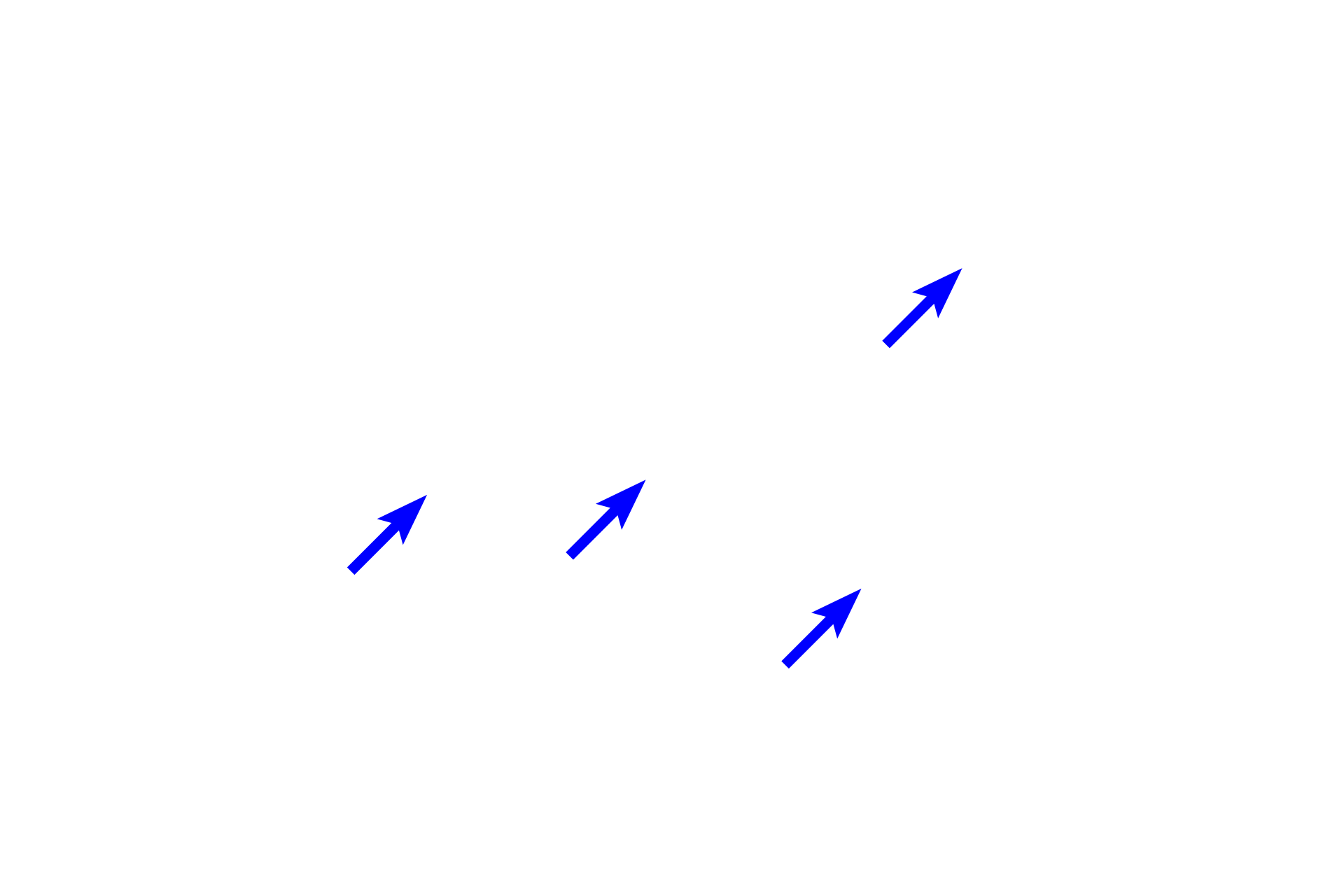 Venules <p>At higher magnification, four neuronal cell bodies can be seen in this ganglion of the submucosal plexus.  Located in the submucosa, this plexus primarily supplies smooth muscle of the muscularis mucosae.  800x</p>
