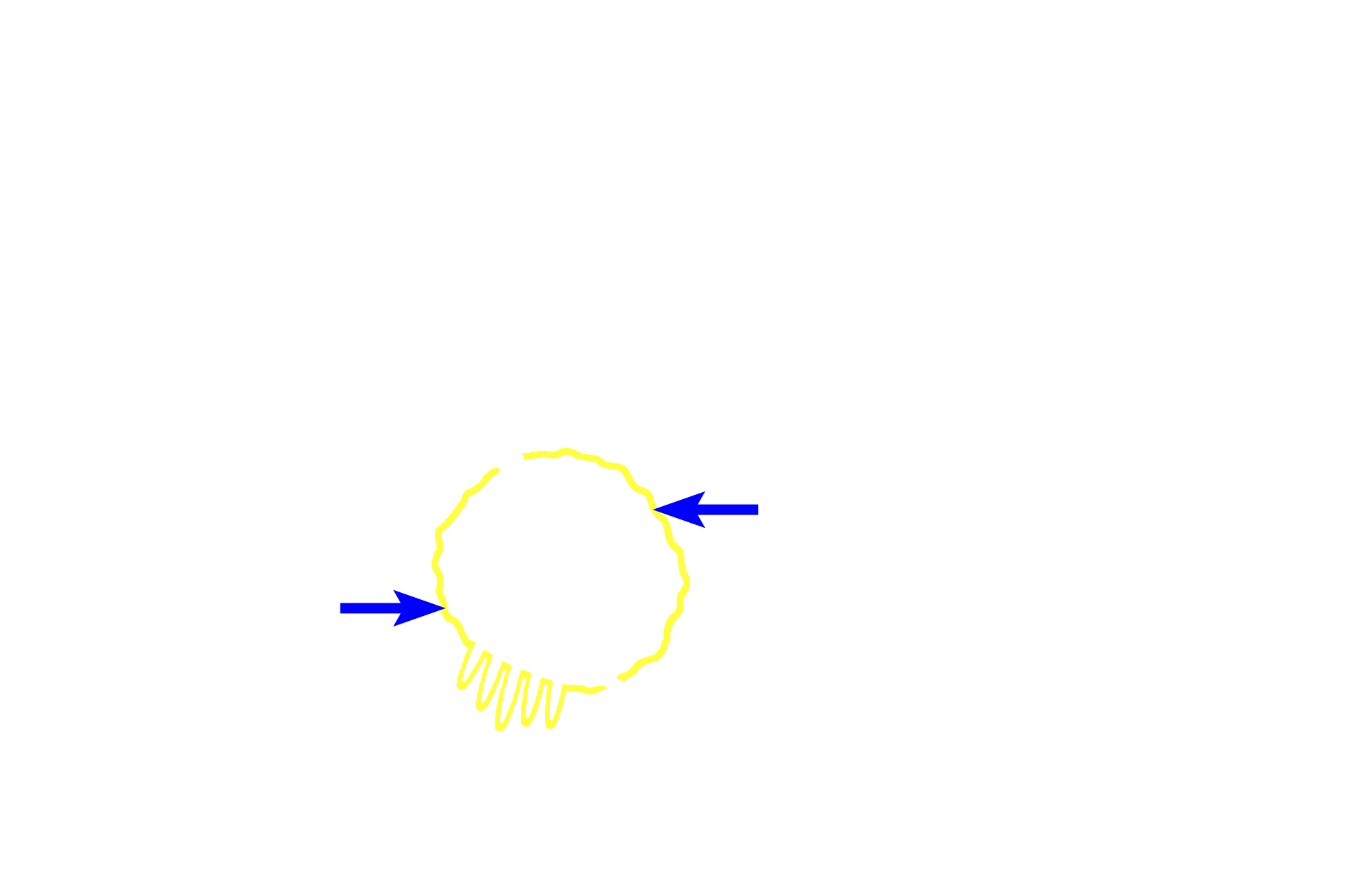  - Epithelium > <p>An epithelium (either stratified squamous or simple columnar) forms the innermost layer of the digestive mucosa, the epithelial type varying with the organ and its function.  This epithelium also serves as a barrier to foreign agents entering the body.  The simple columnar epithelia may possess microvilli and/or unicellular glands or may be modified to form a sheet gland.</p>
