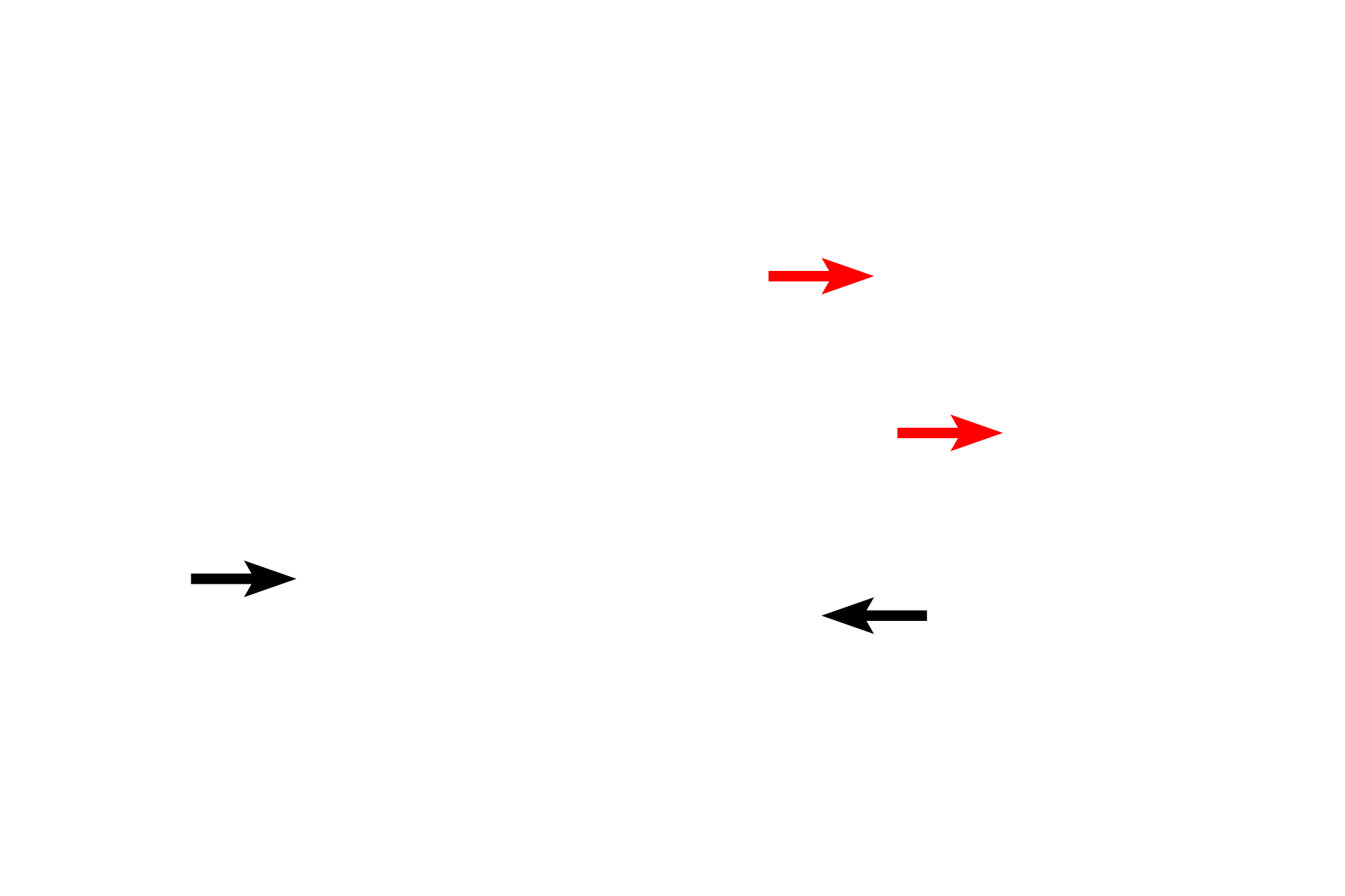 Outermost tunic:  Serosa > <p>Where organs either face or protrude into the peritoneal cavity (diagrammed here), the adventitia is covered by a simple squamous epithelium (mesothelium, red arrows).  Together, the adventitia (black arrows) and the mesothelium constitute the serosa (serous membrane).</p>
