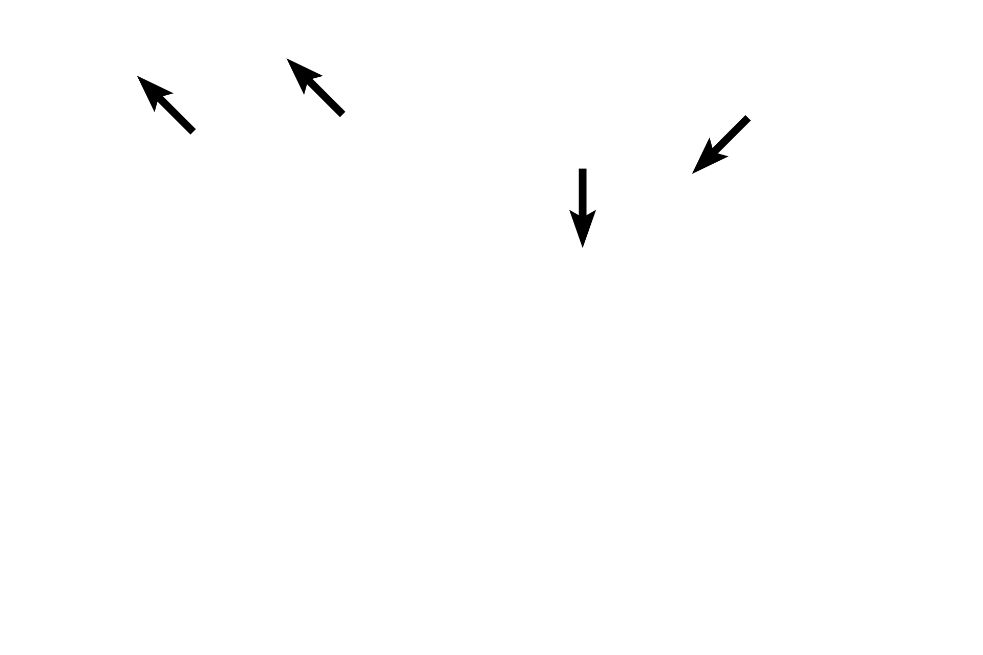 - Sheet gland <p>The mucosal epithelium of the stomach is modified to form a sheet gland that invaginates into lamina propria, forming gastric pits.  Gastric glands begin at the bases of these pits and extend to muscularis mucosae.</p>
