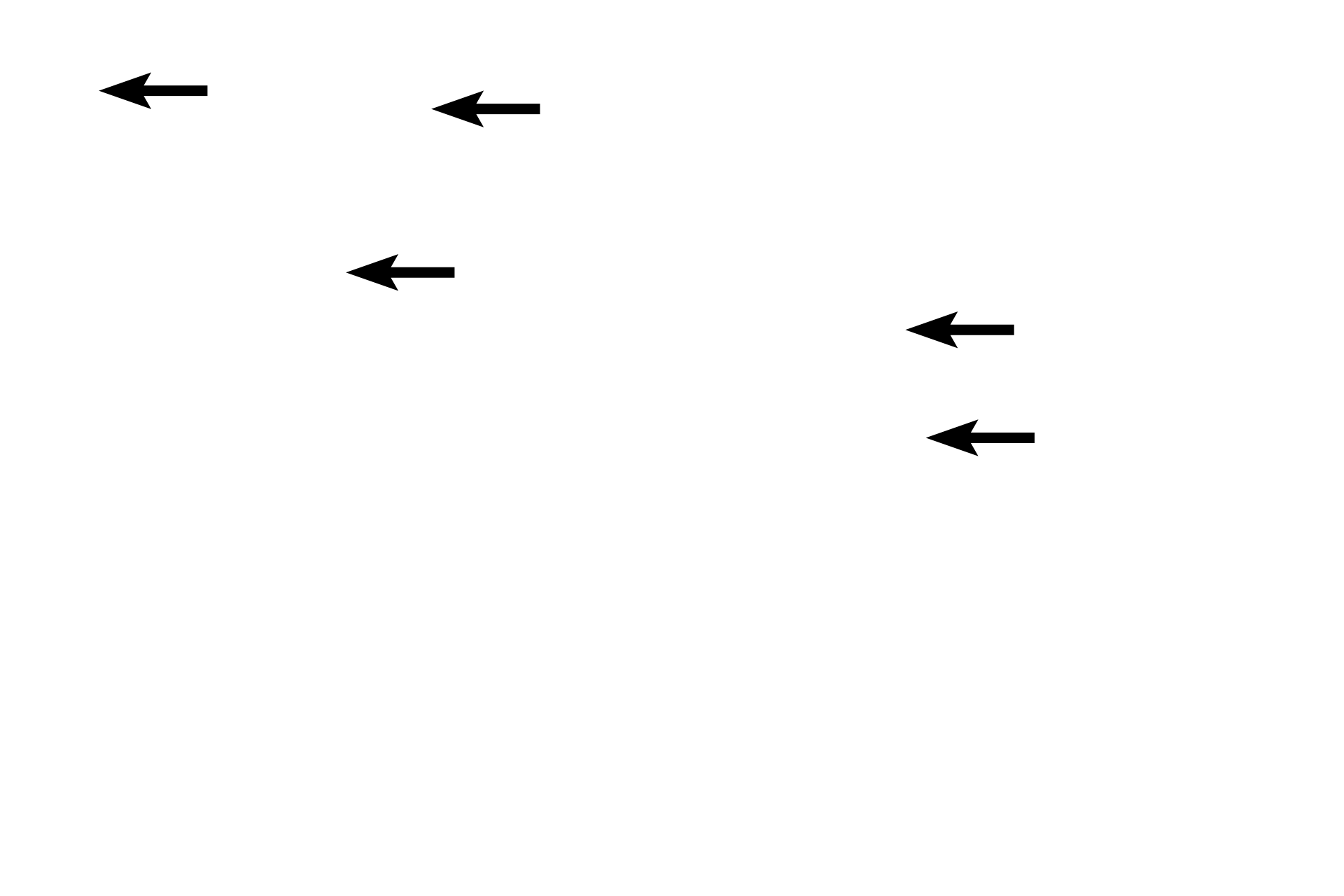  - Lamina propria <p>The mucosal epithelium of the stomach is modified to form a sheet gland that invaginates into lamina propria, forming gastric pits.  Gastric glands begin at the bases of these pits and extend to muscularis mucosae.</p>
