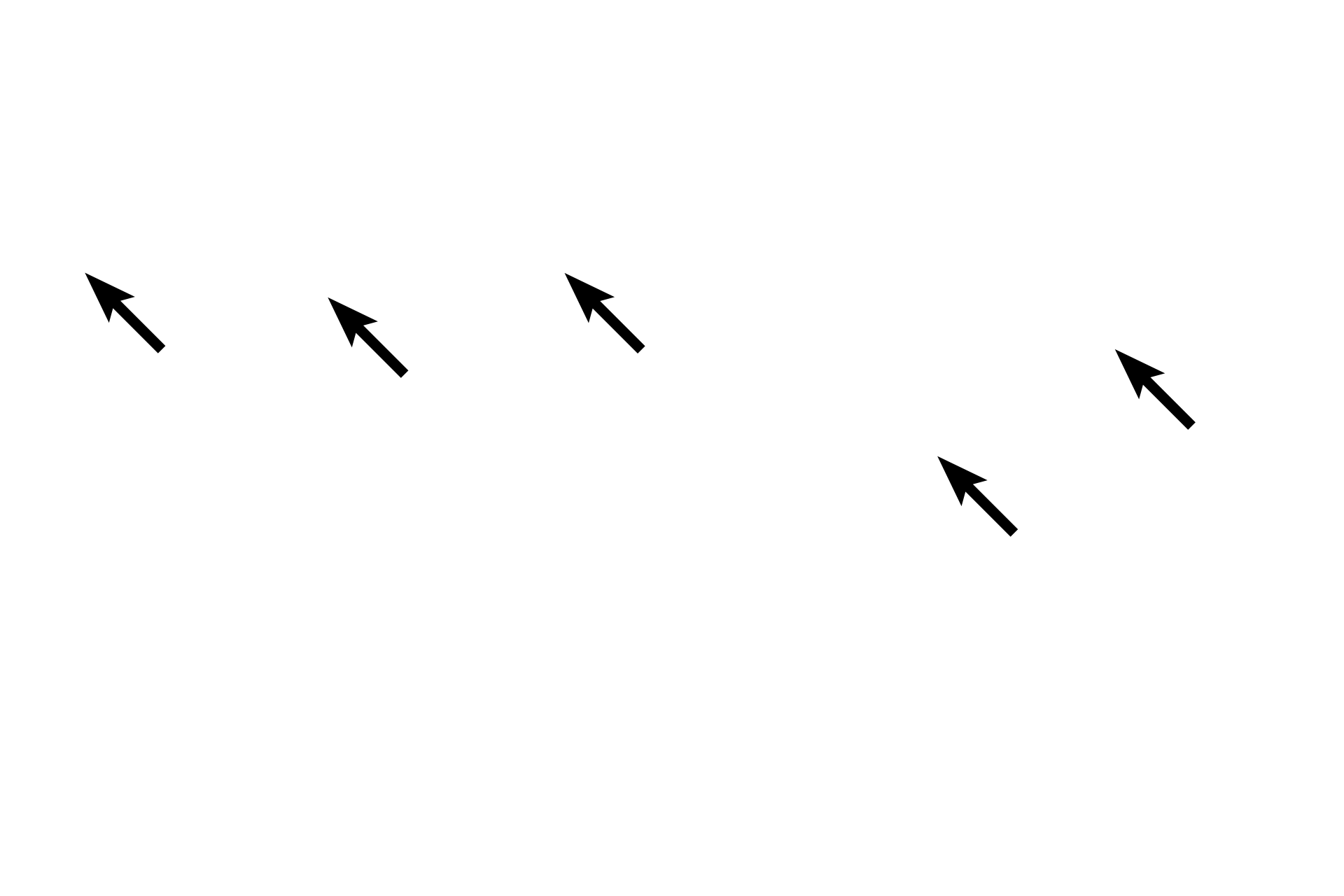  - Muscularis mucosae <p>The mucosal epithelium of the stomach is modified to form a sheet gland that invaginates into lamina propria, forming gastric pits.  Gastric glands begin at the bases of these pits and extend to muscularis mucosae.</p>
