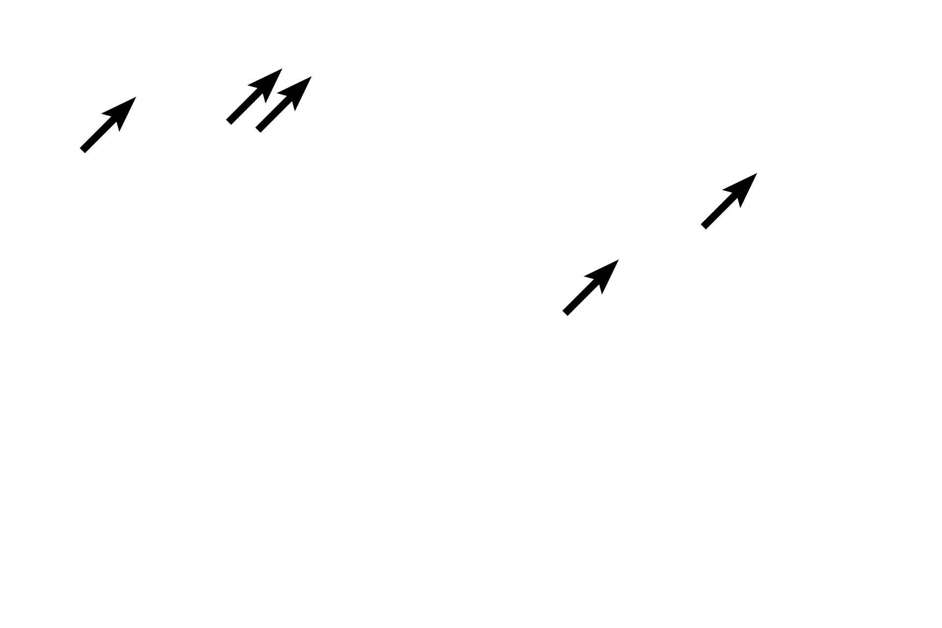  - Gastric pits <p>The mucosal epithelium of the stomach is modified to form a sheet gland that invaginates into lamina propria, forming gastric pits.  Gastric glands begin at the bases of these pits and extend to muscularis mucosae.</p>

