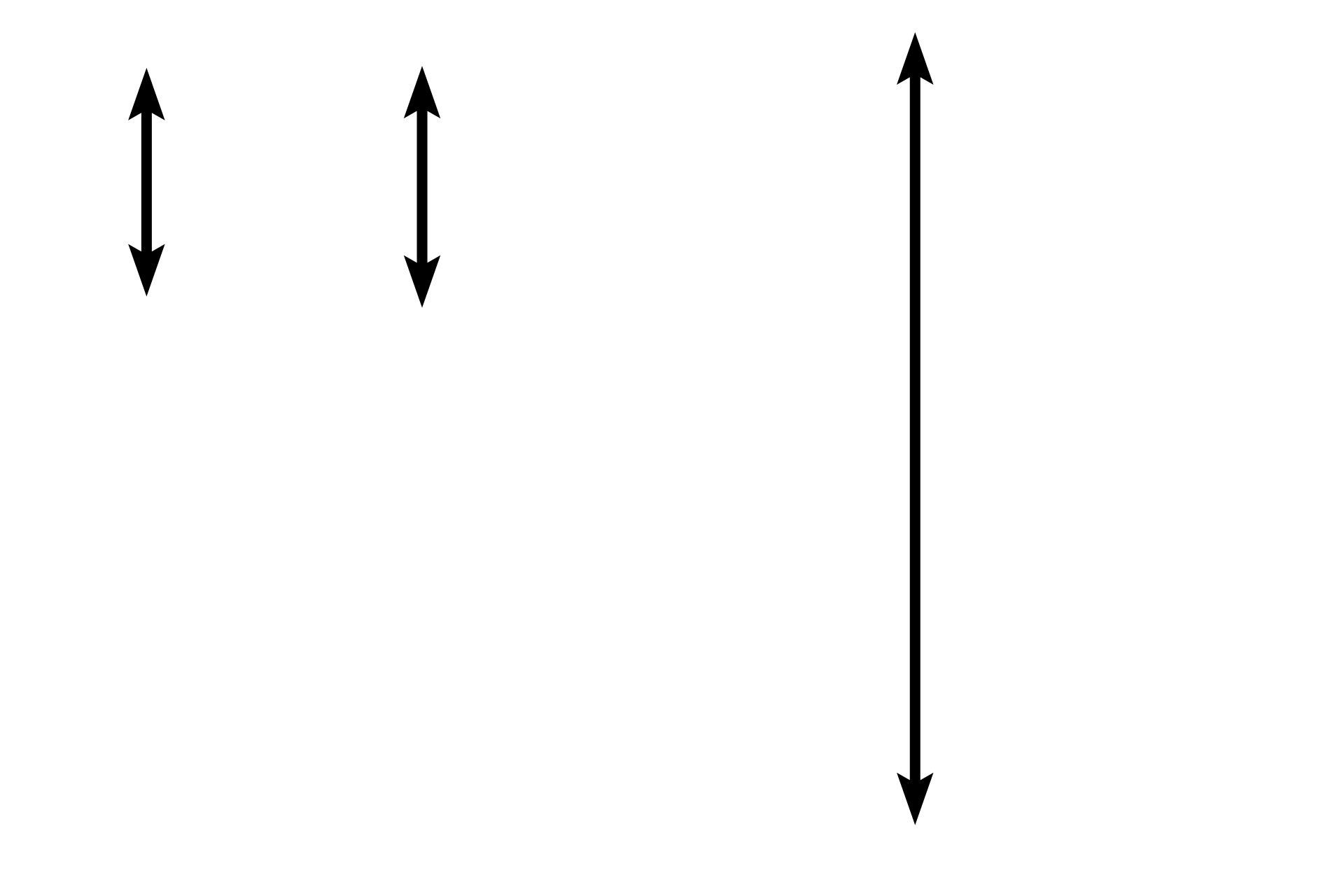 Mucosa <p>In the gastric mucosa, the epithelium is modified to form a sheet gland.  Gastric pits invaginate from this surface, and gastric glands extend from the base of the pits to the muscularis mucosae.  The lamina propria is composed of loose connective tissue; a thick muscularis mucosae is visible.  10x, 100x</p>
