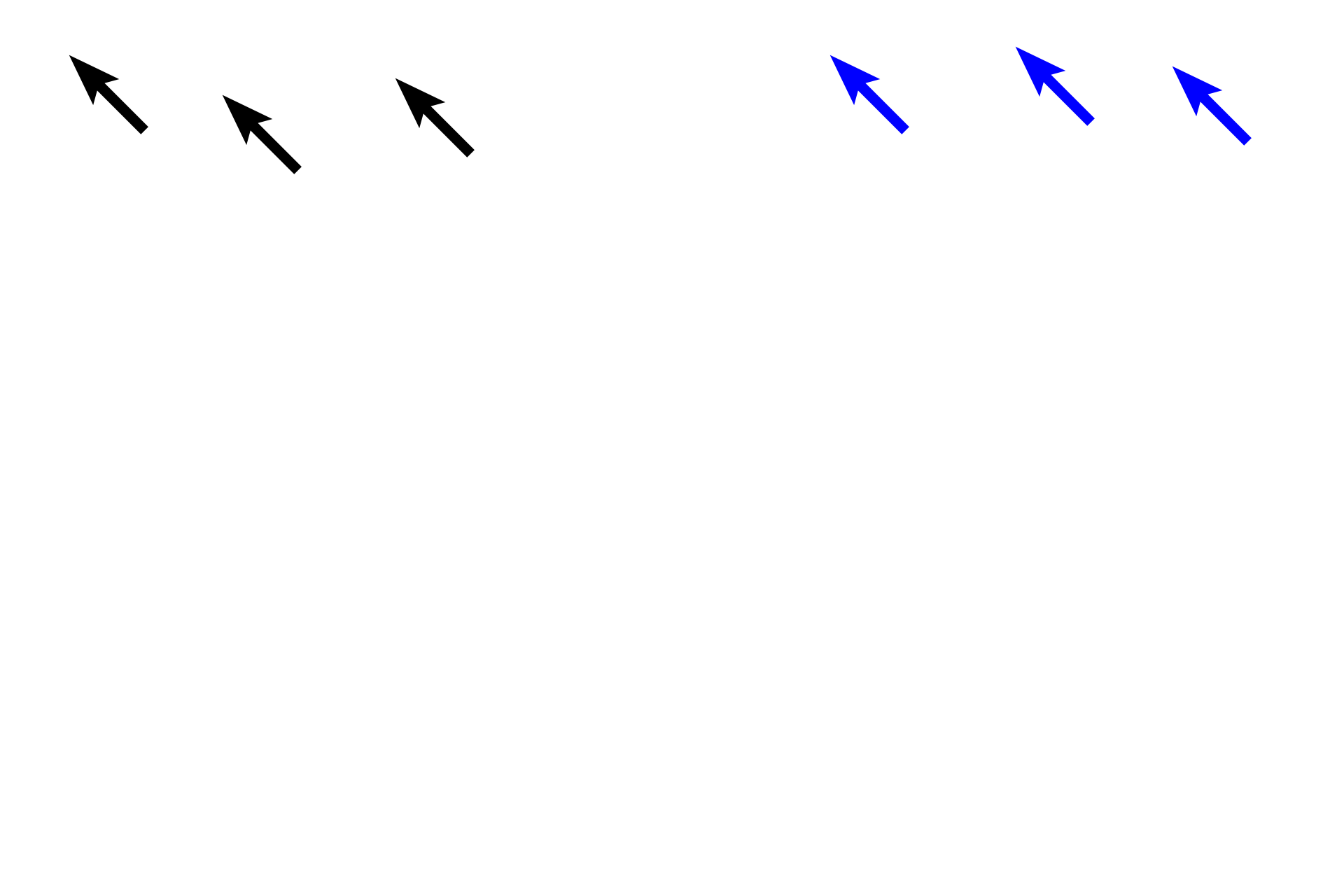  - Sheet gland <p>In the gastric mucosa, the epithelium is modified to form a sheet gland.  Gastric pits invaginate from this surface, and gastric glands extend from the base of the pits to the muscularis mucosae.  The lamina propria is composed of loose connective tissue; a thick muscularis mucosae is visible.  10x, 100x</p>
