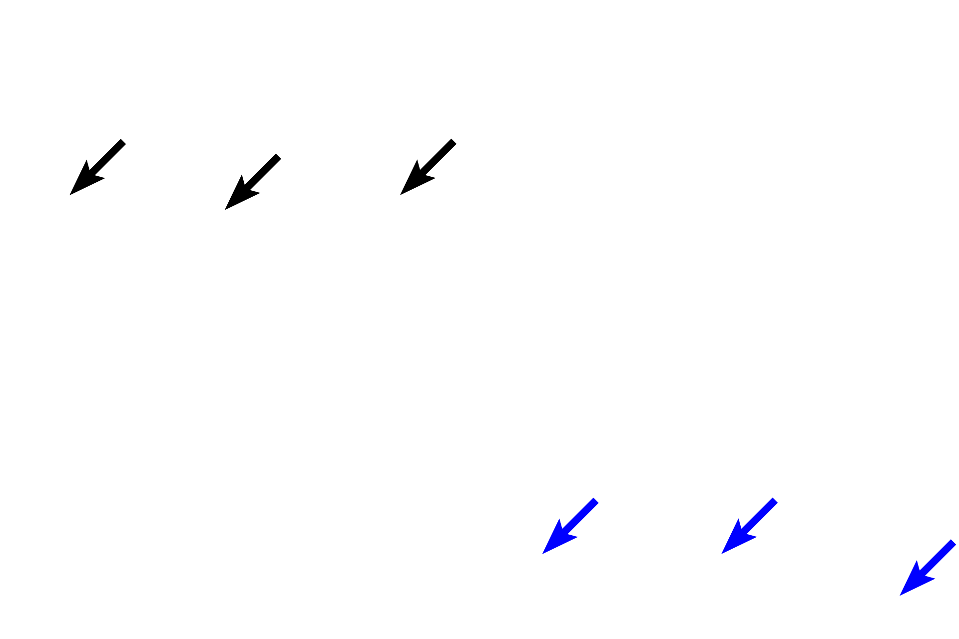  - Muscularis mucosae <p>In the gastric mucosa, the epithelium is modified to form a sheet gland.  Gastric pits invaginate from this surface, and gastric glands extend from the base of the pits to the muscularis mucosae.  The lamina propria is composed of loose connective tissue; a thick muscularis mucosae is visible.  10x, 100x</p>
