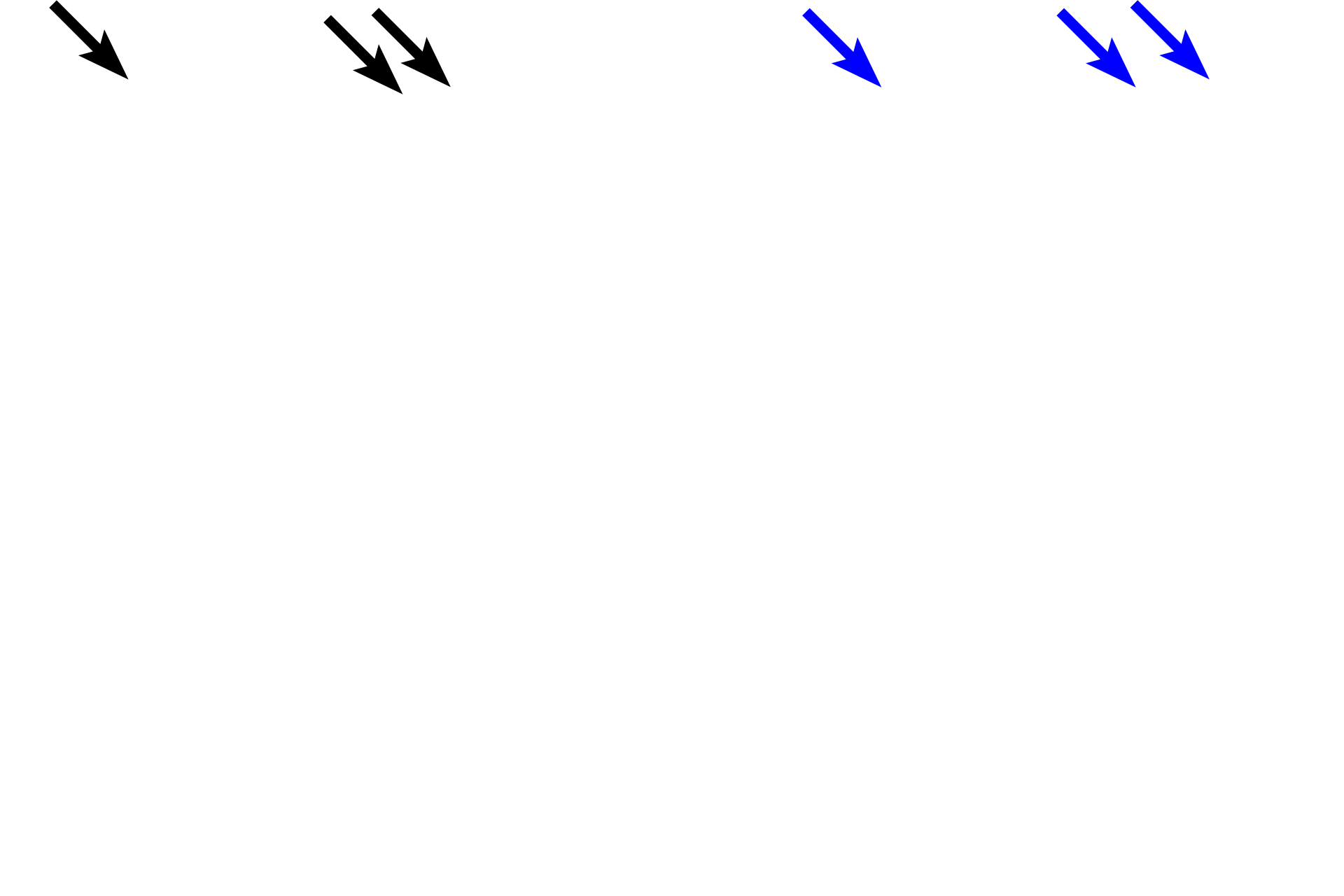  - Gastric pits > <p>The three regions of the stomach can be distinguished by the ratio of the length of the gastric pits to the length of the gastric glands.  In the cardiac region, pits and glands are roughly equal in length; in the body and fundic regions, the pits are much shorter than the glands; in the pyloric region, the pits are slightly longer than the glands.</p>
