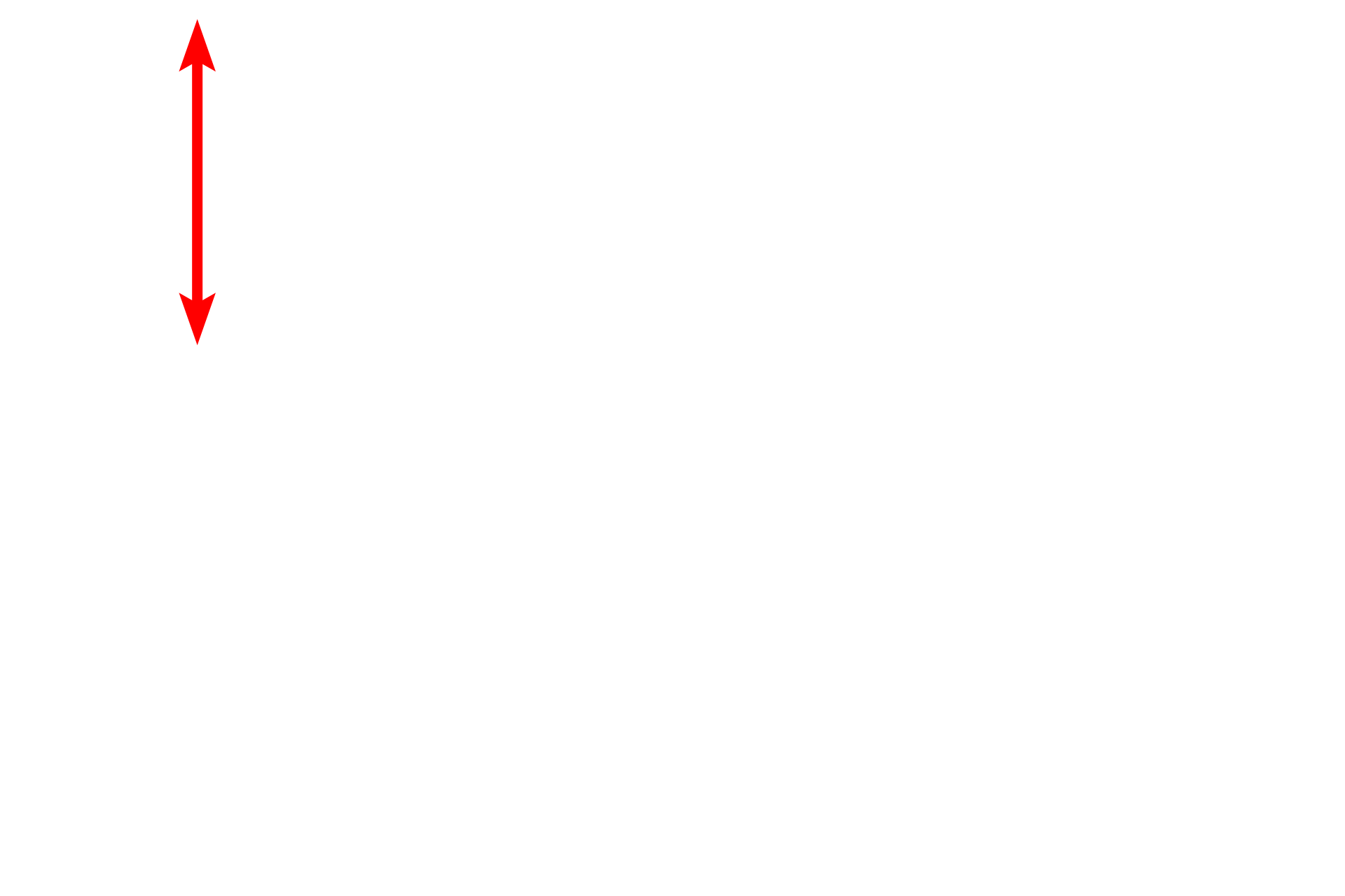 Mucosa  <p>The submucosa of the digestive system is composed of dense connective tissue, possessing an extensive meshwork of axons and ganglia called the submucosal (Meissner’s) plexus.  This plexus supplies autonomic innervation to muscularis mucosae and glands.  Ganglia in the plexus contain postganglionic parasympathetic nerve cell bodies.  Trichrome stain, 100x, 800x</p>
