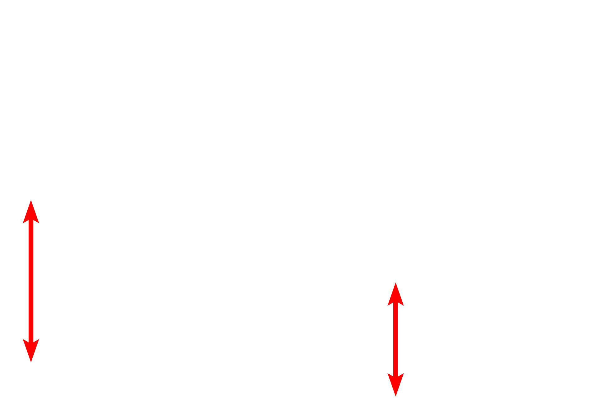 Muscularis externa <p>The submucosa of the digestive system is composed of dense connective tissue, possessing an extensive meshwork of axons and ganglia called the submucosal (Meissner’s) plexus.  This plexus supplies autonomic innervation to muscularis mucosae and glands.  Ganglia in the plexus contain postganglionic parasympathetic nerve cell bodies.  Trichrome stain, 100x, 800x</p>
