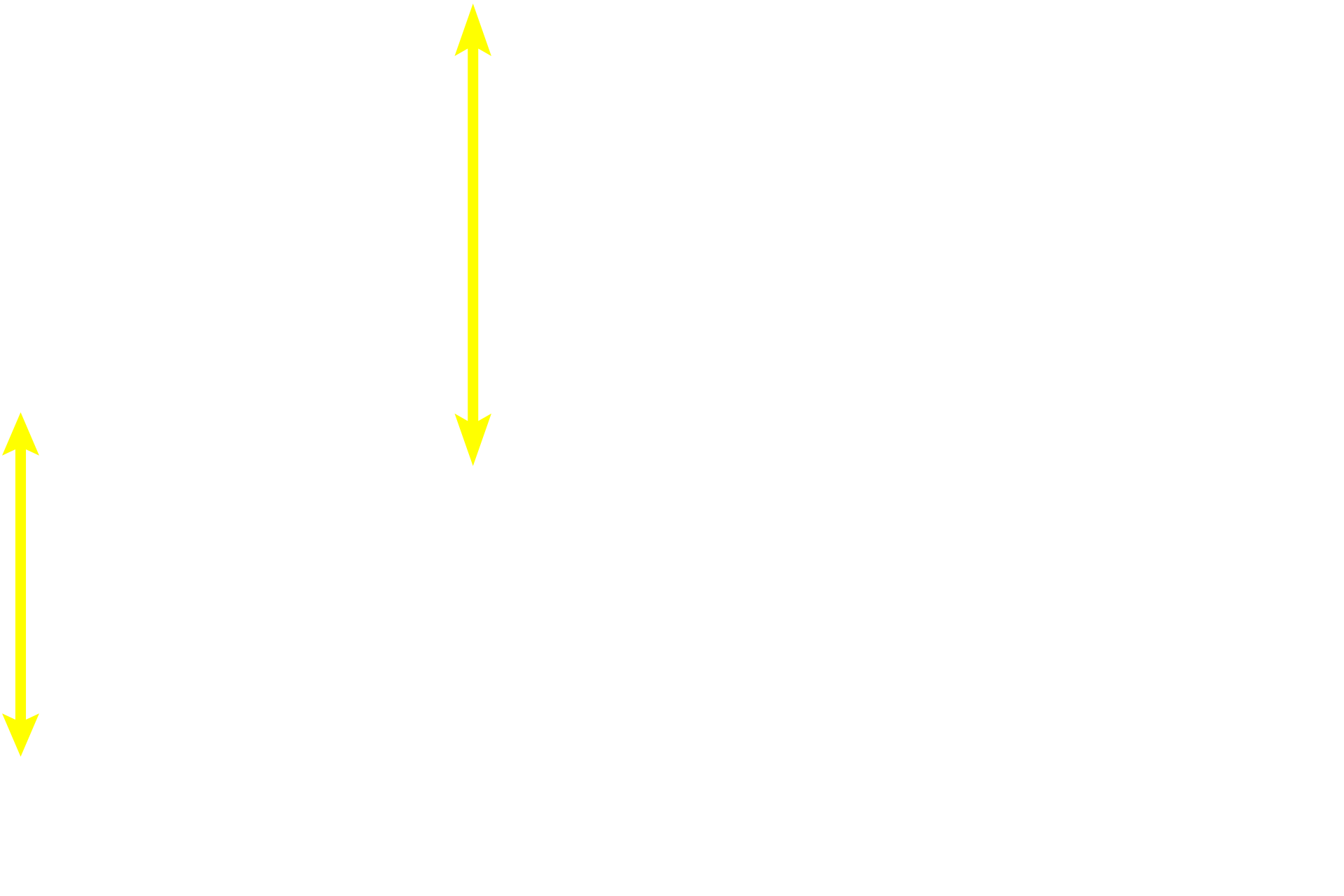  - Middle circular layer <p>Muscularis externa of the stomach has inner oblique (an inconsistent layer), middle circular, and outer longitudinal layers; only the latter two layers are seen here.  The myenteric (Auerbach’s) plexus, located between circular and longitudinal muscle layers, provides fibers from the autonomic nervous system to muscularis externa.  A serosa is the outermost tunic.  Trichrome stain, 100x, 800x</p>
