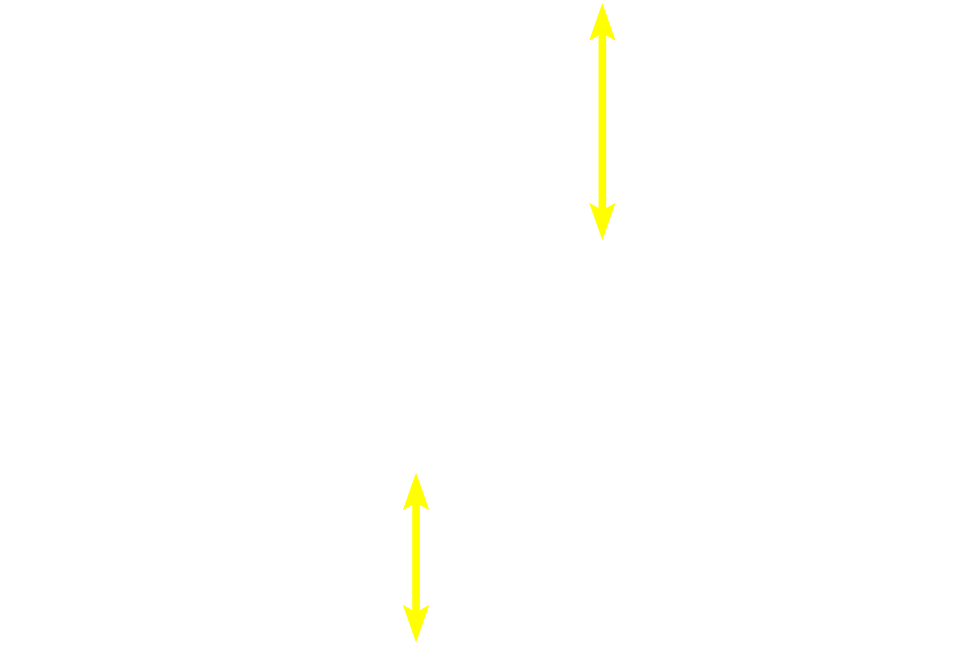 Muscularis externa <p>The myenteric (Auerbach’s) plexus lies between the layers of the muscularis externa throughout the tubular digestive system, providing autonomic innervation to the smooth muscle of muscularis externa.  The plexus is a network of unmyelinated axons and ganglia, whose large neuronal cell bodies give rise to the postganglionic parasympathetic fibers in the plexus.  Trichrome stain, 1000x</p>
