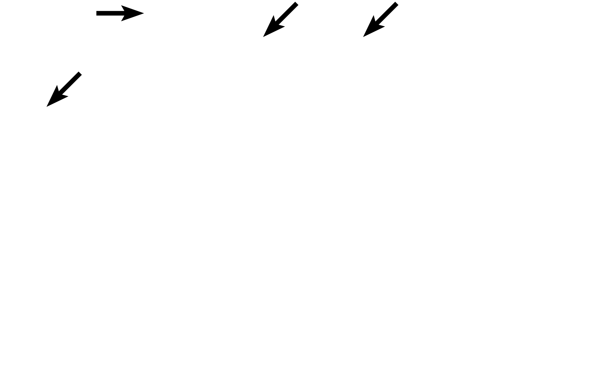 Opening of pits <p>A sharp transition in the epithelium, from stratified squamous moist (esophagus) to simple columnar (stomach), marks the transition of these two organs.  The depth of the gastric pits (foveolae) is about equal to the length of the glands in the cardiac region (a diagnostic feature for the cardiac region of the stomach).  100x</p>

