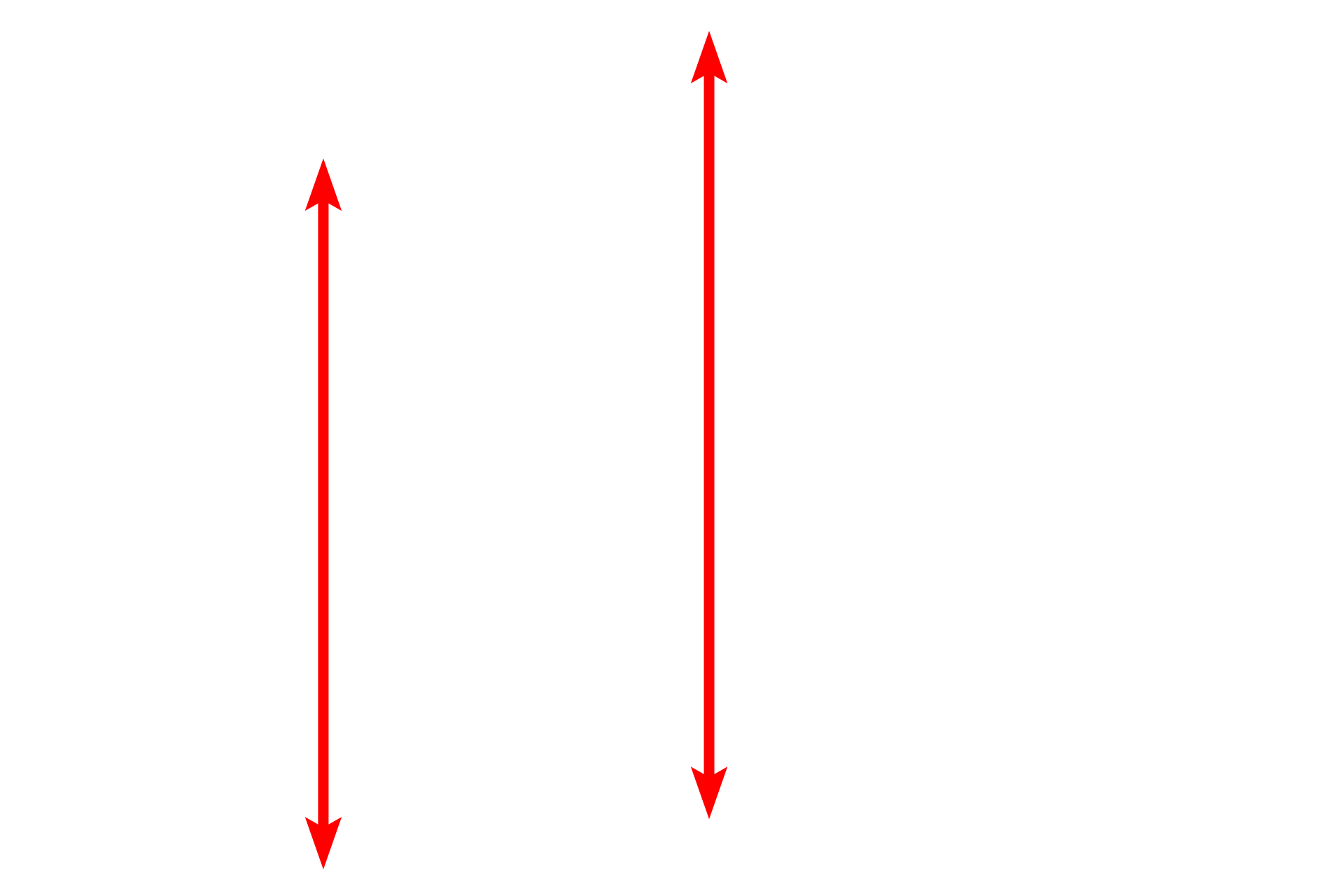 Mucosa <p>A trichrome stain demonstrates the pyloric mucosa.  Deep, wide gastric pits, interconnecting the surface with the pyloric glands, are longer than the glands.  Pyloric glands possess mostly mucus-secreting cells and are quite tortuous, so that they are cut in multiple planes when sectioned.  100x</p>
