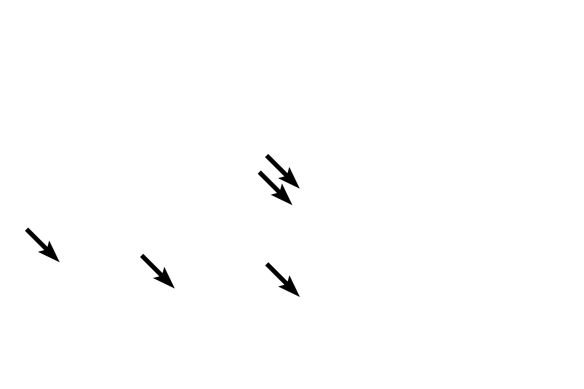  - Villi <p>Several criteria differentiate the transition of pyloric stomach to the duodenum of the small intestine.  As denoted by their names, gastric pits and gastric glands occur only in stomach.  Villi, intestinal glands, and submucosal glands (also called Brunner’s glands) distinguish the duodenum.  The inner circular layer of muscularis externa in the stomach is modified to form the pyloric sphincter.  10x</p>
