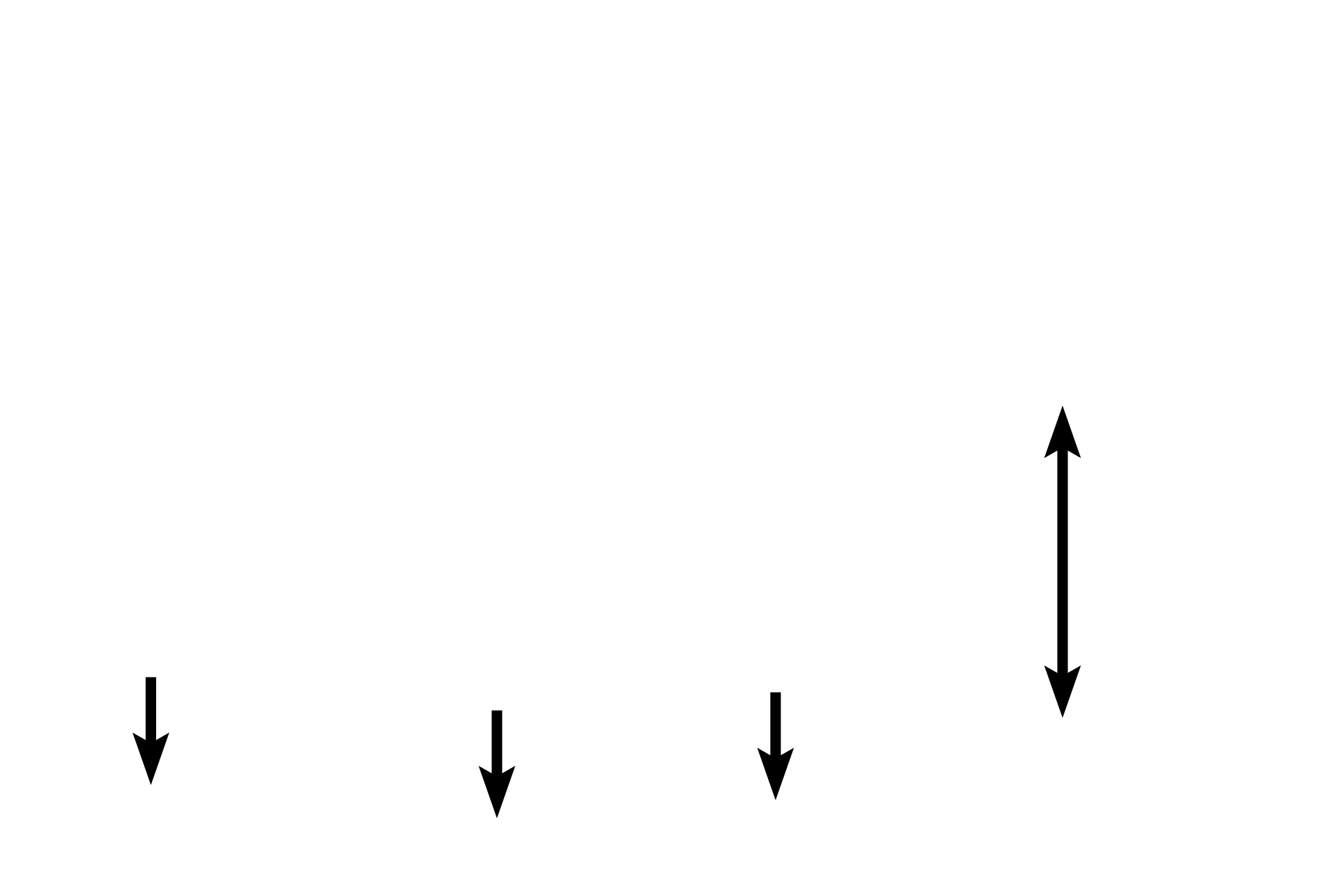 Muscularis externa <p>Several criteria differentiate the transition of pyloric stomach to the duodenum of the small intestine.  As denoted by their names, gastric pits and gastric glands occur only in stomach.  Villi, intestinal glands, and submucosal glands (also called Brunner’s glands) distinguish the duodenum.  The inner circular layer of muscularis externa in the stomach is modified to form the pyloric sphincter.  10x</p>
