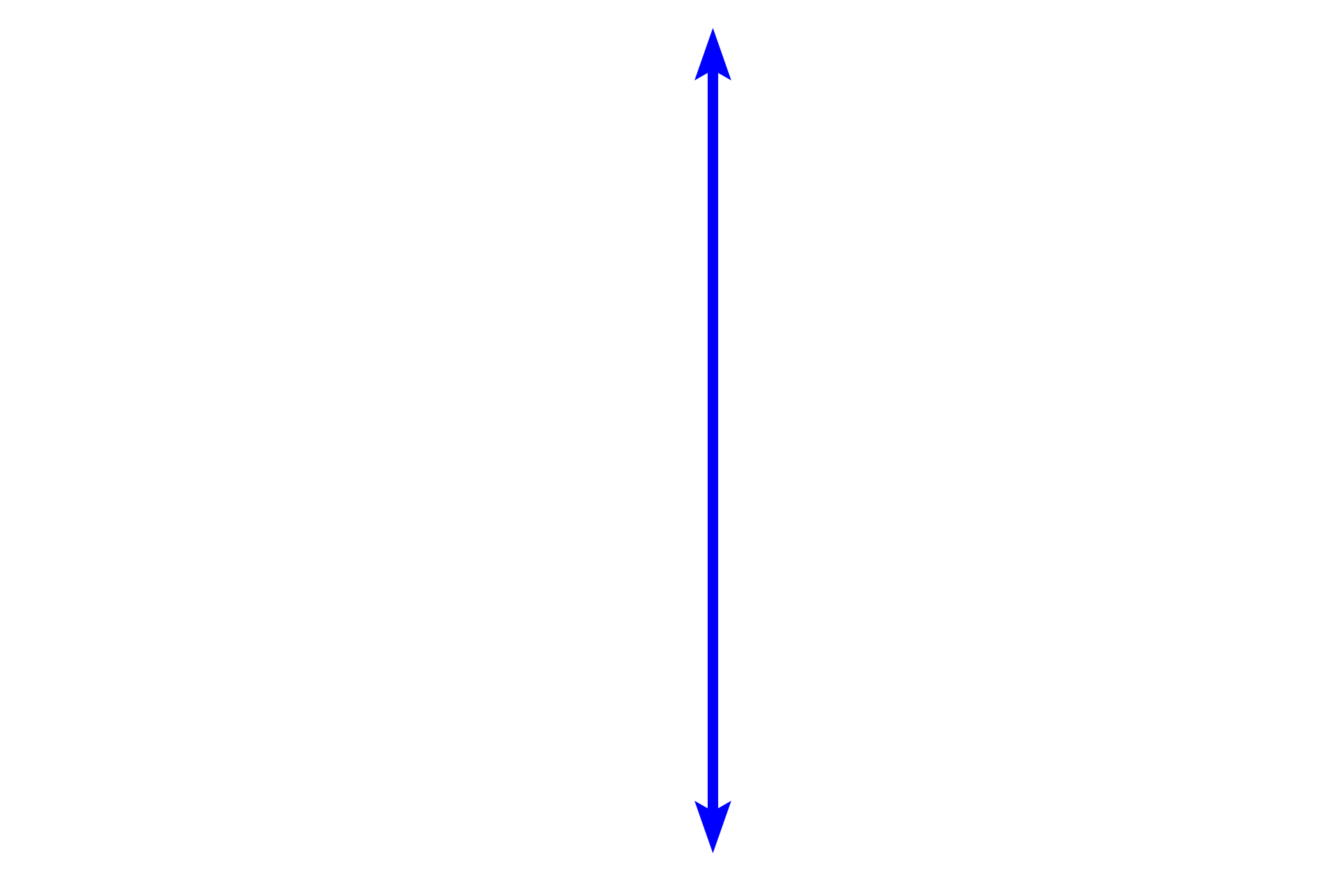 Mucosa <p>In the fundus and body of the stomach, gastric pits are much shorter than are the gastric glands.  These glands, termed fundic glands, possess a variety of cell types.  100x</p>
