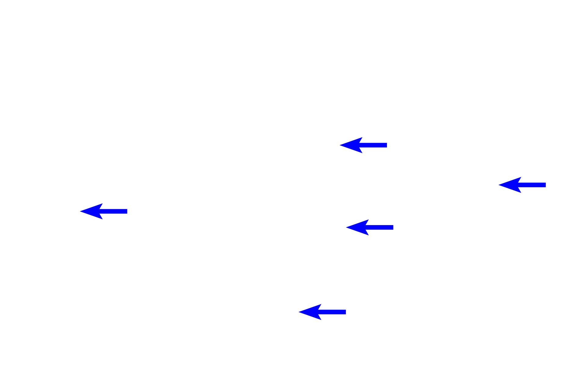  - Fundic glands <p>In the fundus and body of the stomach, gastric pits are much shorter than are the gastric glands.  These glands, termed fundic glands, possess a variety of cell types.  100x</p>
