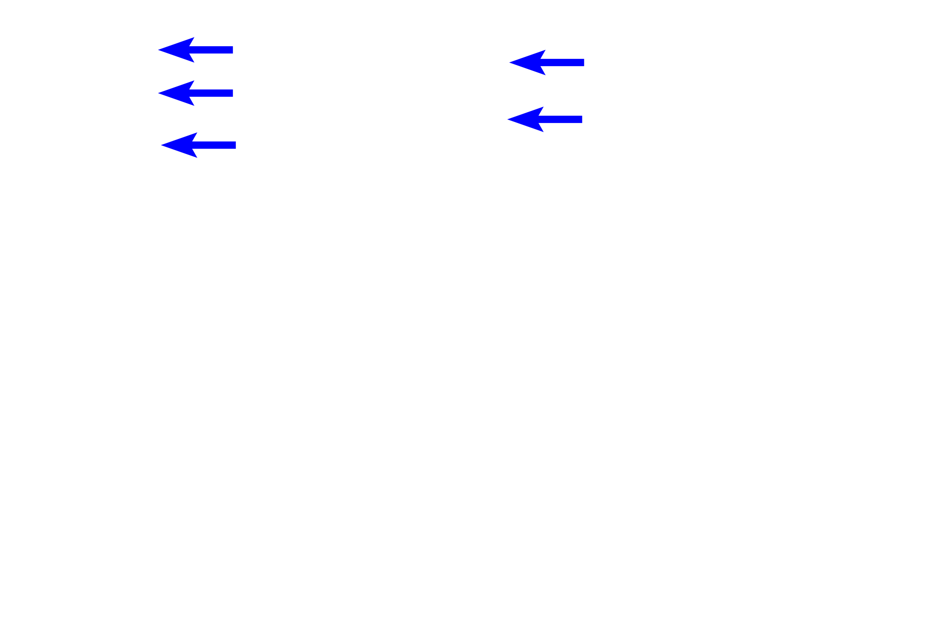 Gastric pits > <p>Gastric pits, short in the body and fundus, extend from the surface epithelium to attach to the neck of the glands, where branching occurs.  Gastric glands, including the fundic glands, extend from the gastric pits through the lamina propria to the muscularis mucosae.</p>
