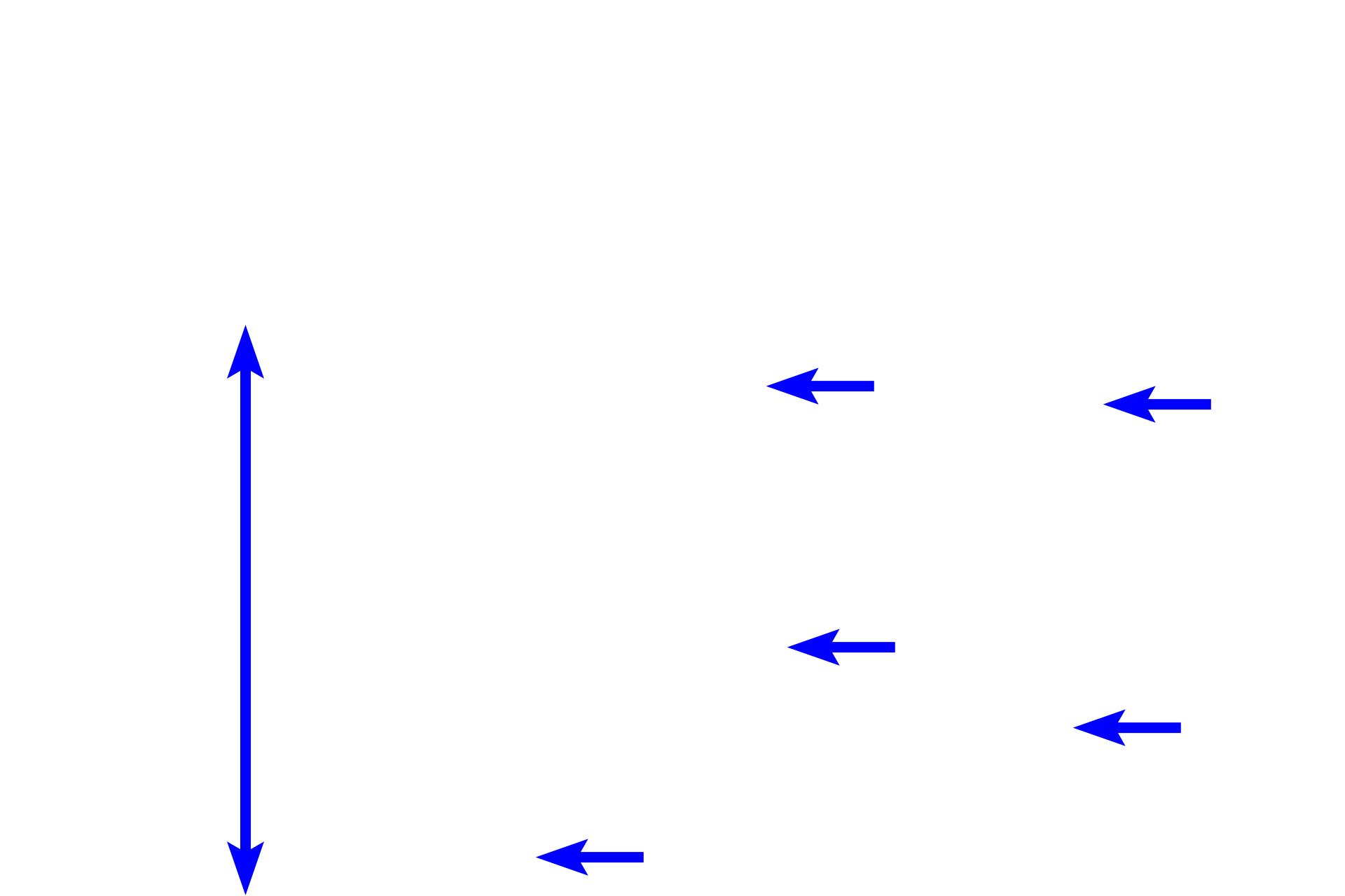 Fundic glands <p>Gastric pits, short in the body and fundus, extend from the surface epithelium to attach to the neck of the glands, where branching occurs.  Gastric glands, including the fundic glands, extend from the gastric pits through the lamina propria to the muscularis mucosae.</p>
