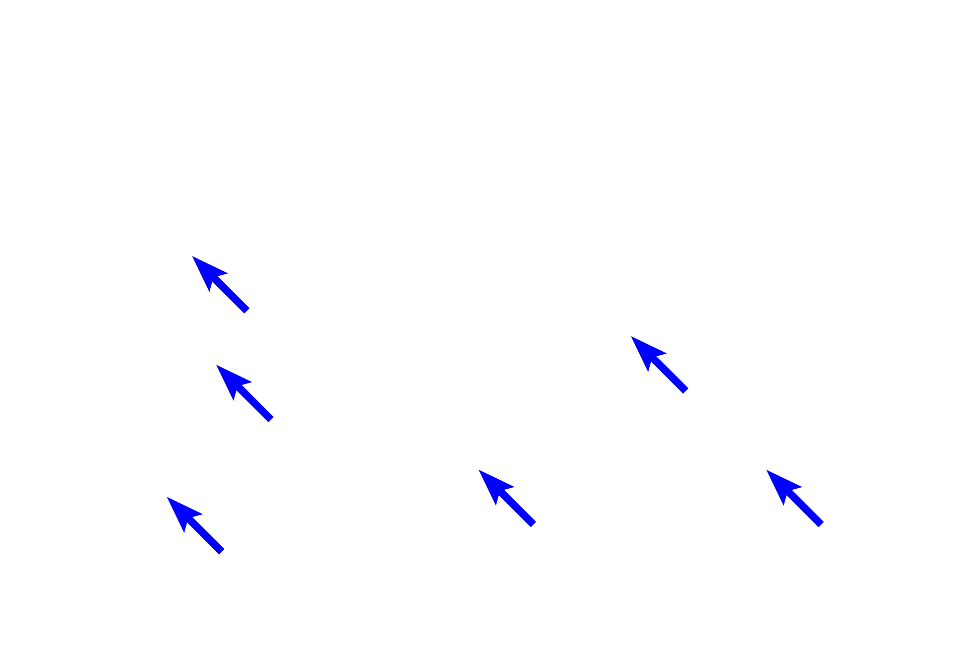 Parietal cells > <p>Parietal cells are more numerous at the beginning of the glands.  Chief and enteroendocrine cells (part of the diffuse neuroendocrine system or DNES) are located deep in the glands, nearer the muscularis mucosae.</p>
