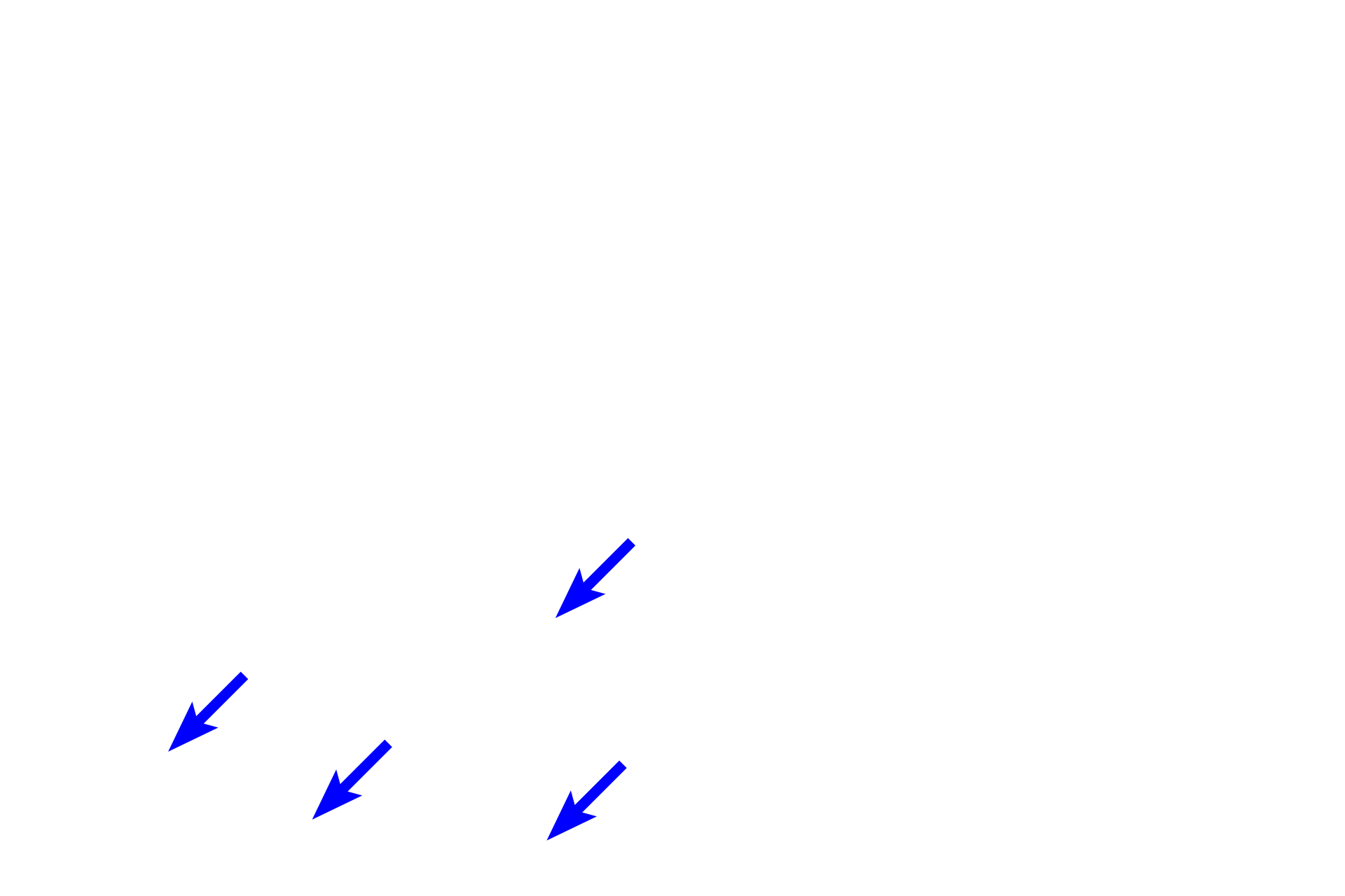 Enteroendocrine cells <p>Parietal cells are more numerous at the beginning of the glands.  Chief and enteroendocrine cells (part of the diffuse neuroendocrine system or DNES) are located deep in the glands, nearer the muscularis mucosae.</p>

