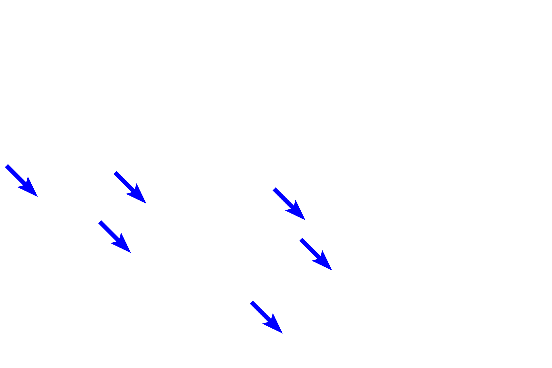 Parietal cells <p>The neck, the first part of fundic glands, contains mucous neck cells (darkly staining cells) and parietal cells.  Mucous neck cells secrete a mucus different from that of the surface mucous cells.  Parietal (oxyntic) cells, large, spherical and eosinophilic, are responsible for the HCl production in the stomach and also secrete gastric intrinsic factor.  400x, 100x</p>
