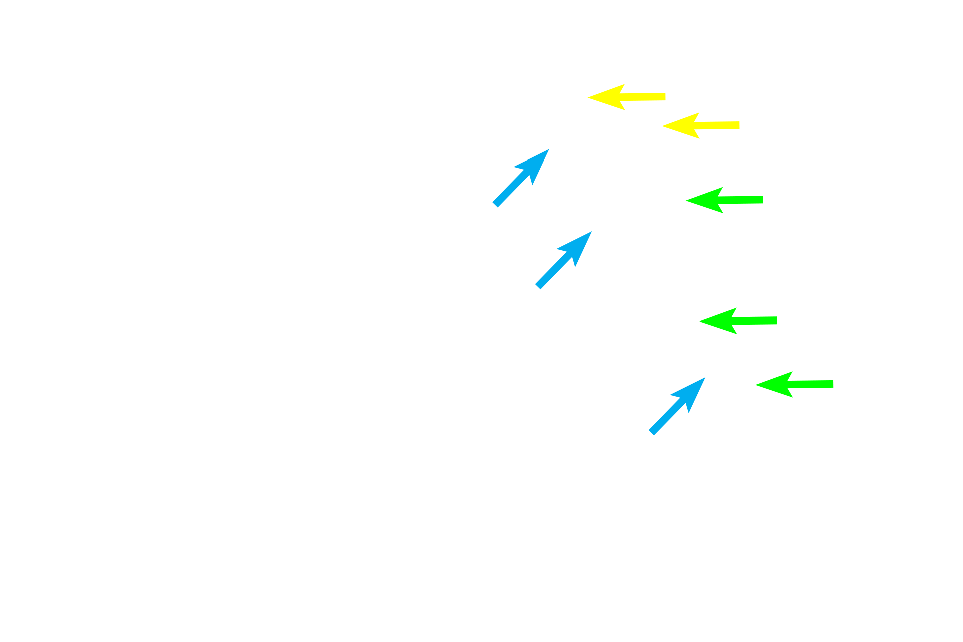 Blood supply > <p>Arterioles (green arrows), supplying blood, enter the cortex and divide into capillary plexuses (yellow arrows) in the outer cortex.  Many of the post-capillary venules draining these capillaries, particularly in the paracortex, are high-endothelial venules, allowing lymphocytes to pass from the blood into the parenchyma of the node.  Venules (blue arrows) exit at the hilum.</p>
