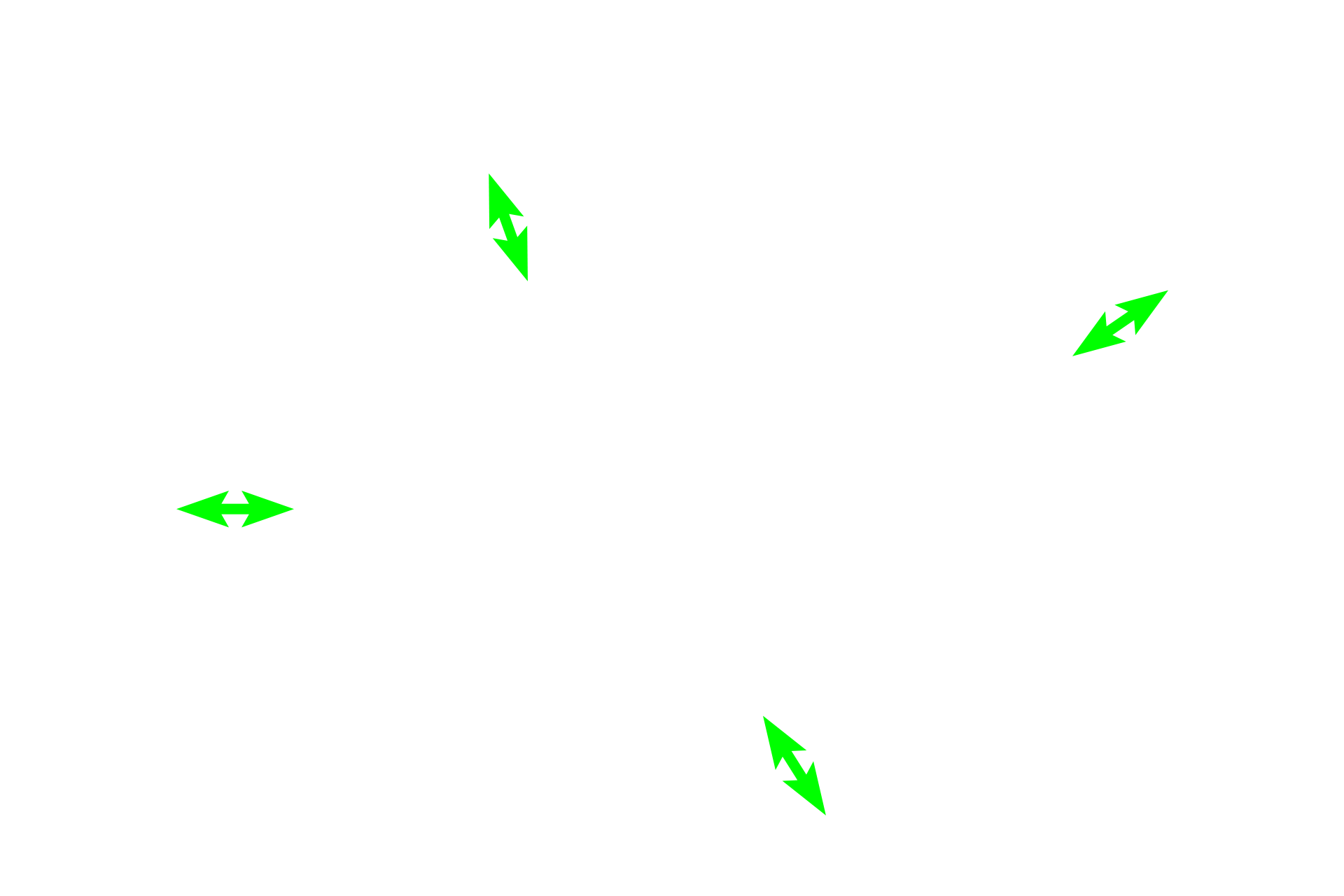  - Outer cortex > <p>The outer cortex (superficial cortex, nodular cortex) is filled with lymphoid nodules that are populated mostly by B lymphocytes.  The inner paracortex (deep cortex) (dashed, black ovals) resembles diffuse lymphoid tissue and is populated mostly by T lymphocytes.</p>
