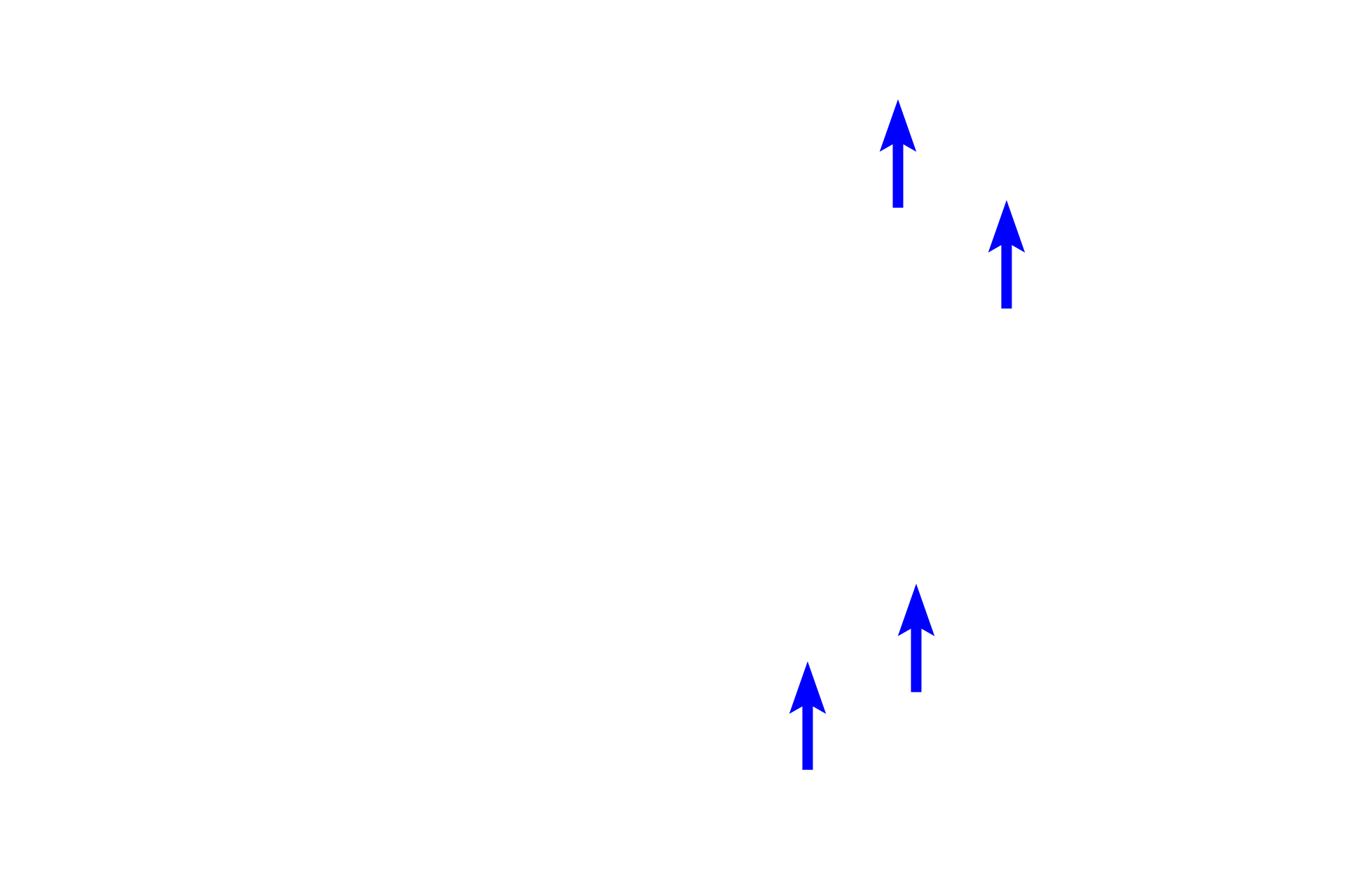 Sinuses entering hilum <p>The hilum is the indented portion of a lymph node where the efferent lymphatics and venules exit and where arterioles enter.  The hilum contains a network of anastomosing efferent vessels that receive the lymph passing through the medullary sinuses.  Filling the hilum is supporting connective tissue and adipose tissue.  100x</p>
