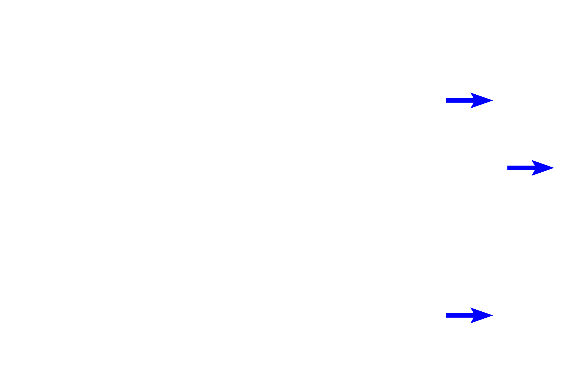 Efferent lymphatic vessels <p>The hilum is the indented portion of a lymph node where the efferent lymphatics and venules exit and where arterioles enter.  The hilum contains a network of anastomosing efferent vessels that receive the lymph passing through the medullary sinuses.  Filling the hilum is supporting connective tissue and adipose tissue.  100x</p>

