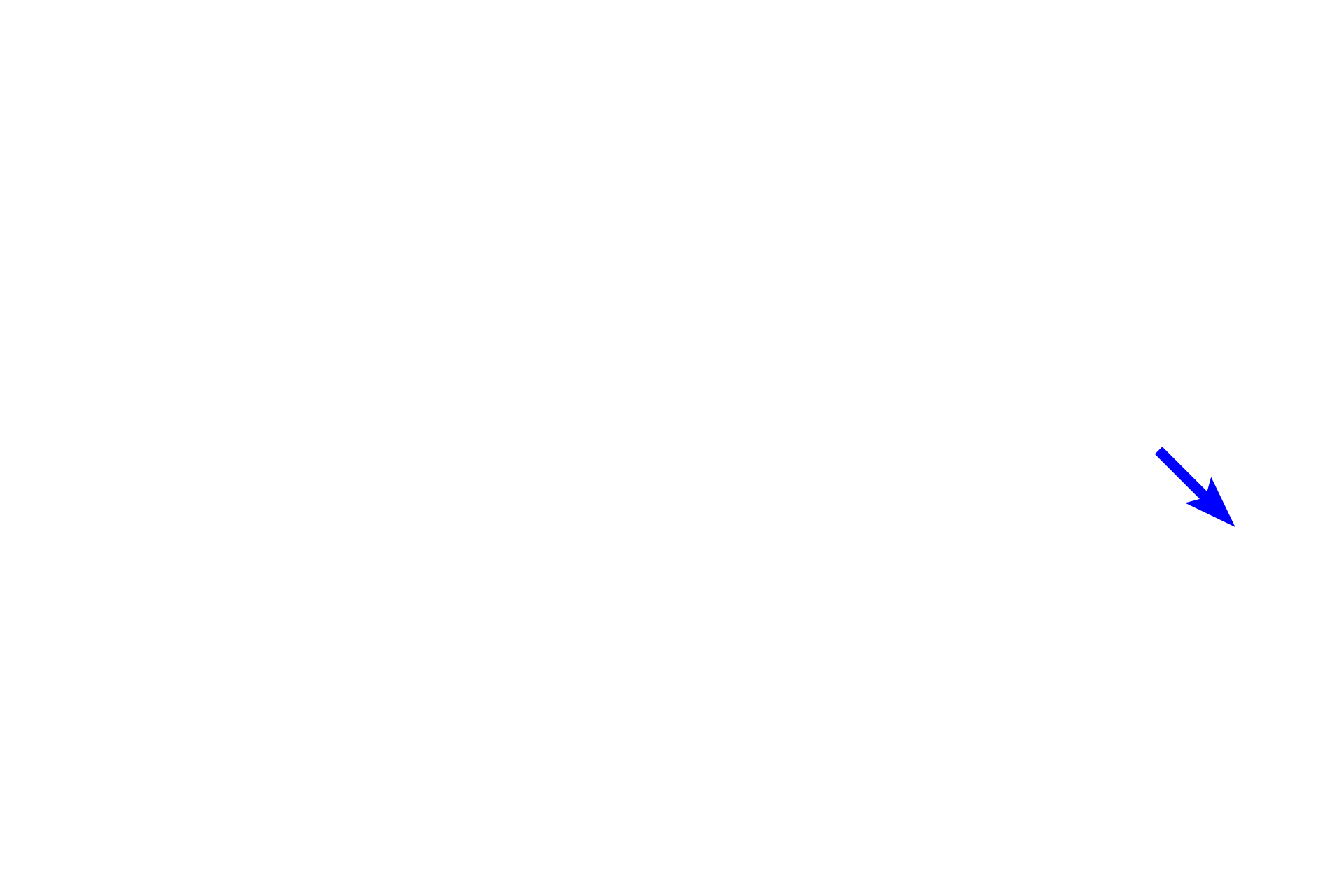 Arteriole <p>The hilum is the indented portion of a lymph node where the efferent lymphatics and venules exit and where arterioles enter.  The hilum contains a network of anastomosing efferent vessels that receive the lymph passing through the medullary sinuses.  Filling the hilum is supporting connective tissue and adipose tissue.  100x</p>
