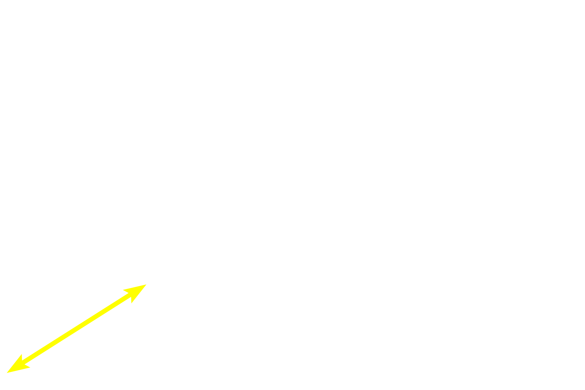 Cortex <p>The hilum is the indented portion of a lymph node where the efferent lymphatics and venules exit and where arterioles enter.  The hilum contains a network of anastomosing efferent vessels that receive the lymph passing through the medullary sinuses.  Filling the hilum is supporting connective tissue and adipose tissue.  100x</p>

