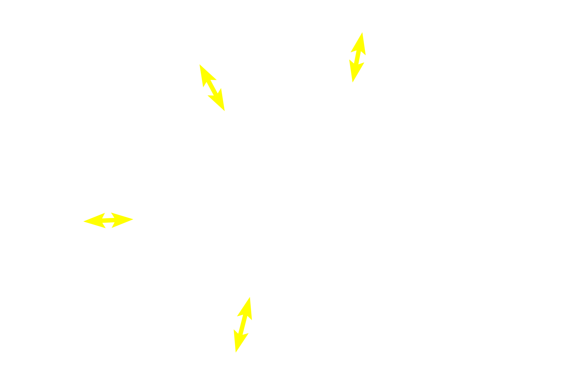 Outer cortex > <p>The outer cortex is composed primarily of lymphoid nodules and is a B-dependent area.</p>
