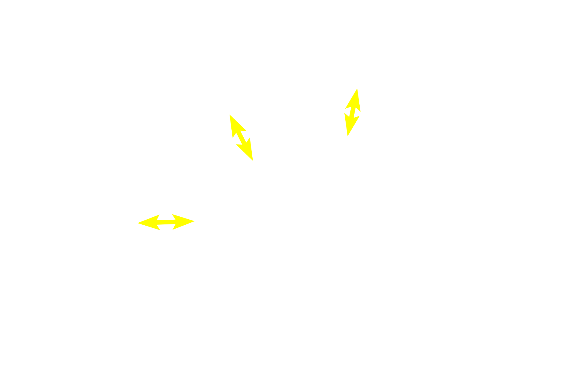 Paracortex > <p>The paracortex is composed of tissue resembling diffuse lymphoid tissue and is a thymus-dependent (T-dependent) area.</p>
