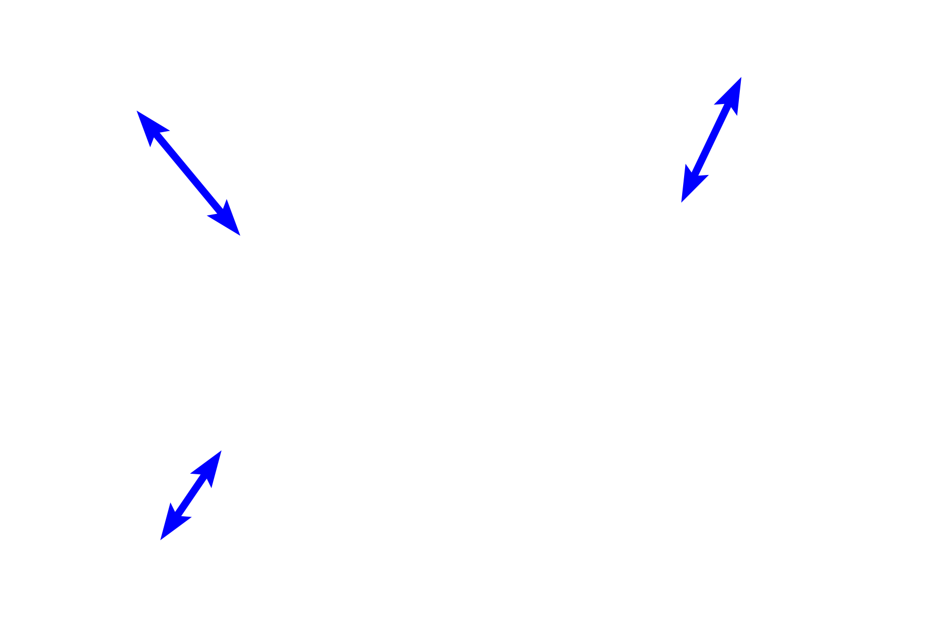 Cortex > <p>The outer cortex (superficial cortex, nodular cortex) contains lymphoid nodules that are populated mostly by B lymphocytes.  The inner paracortex (deep cortex) resembles diffuse lymphoid tissue and is populated mostly by T lymphocytes.</p>
