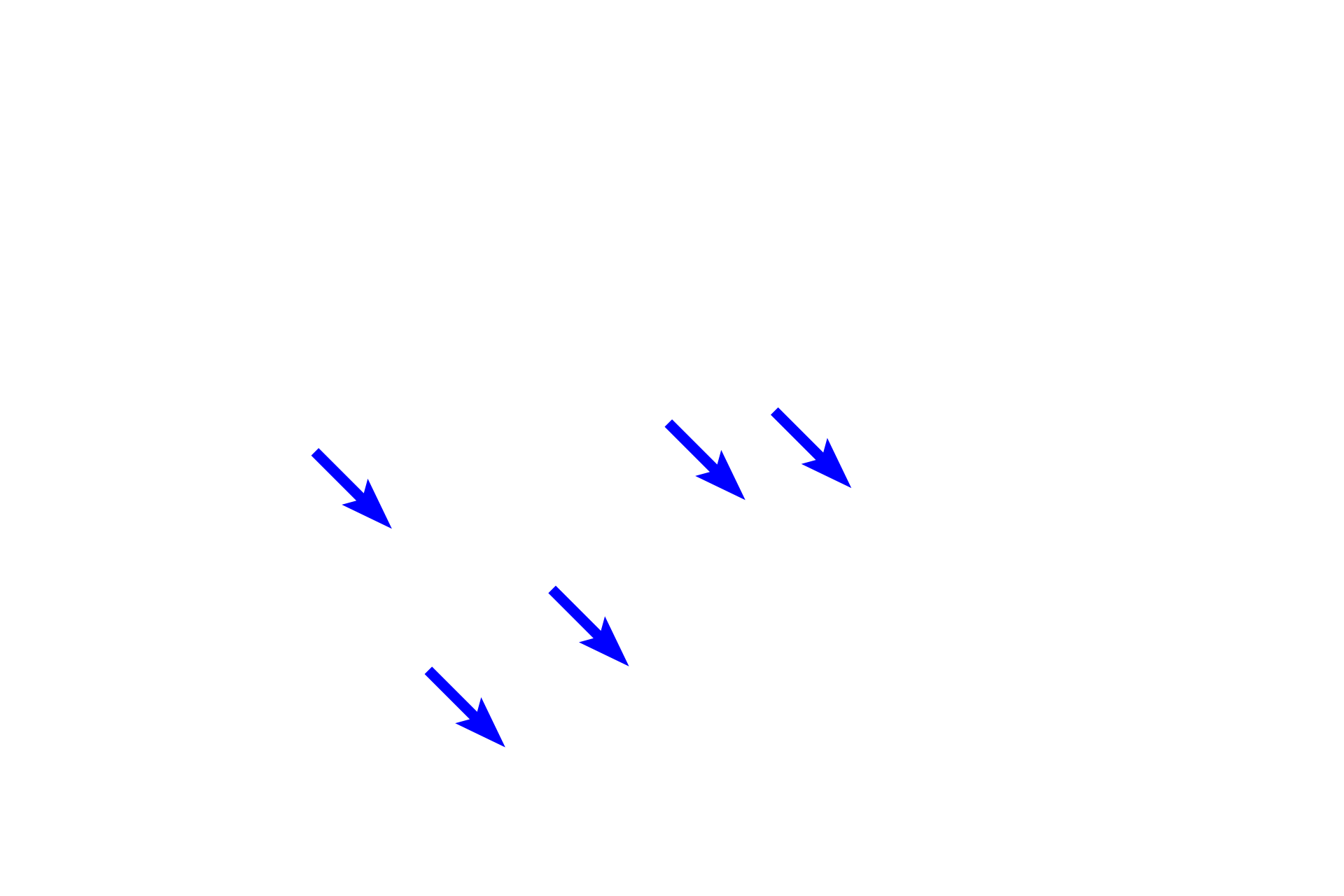 Efferent lymphatics <p>The hilum is the indented portion of lymph nodes where the efferent lymphatics and venules exit and where arterioles enter.  The hilum contains a network of anastomosing efferent vessels that receive the lymph passing through the medullary sinuses.  Filling the hilum is supporting connective tissue and adipose tissue.</p>
