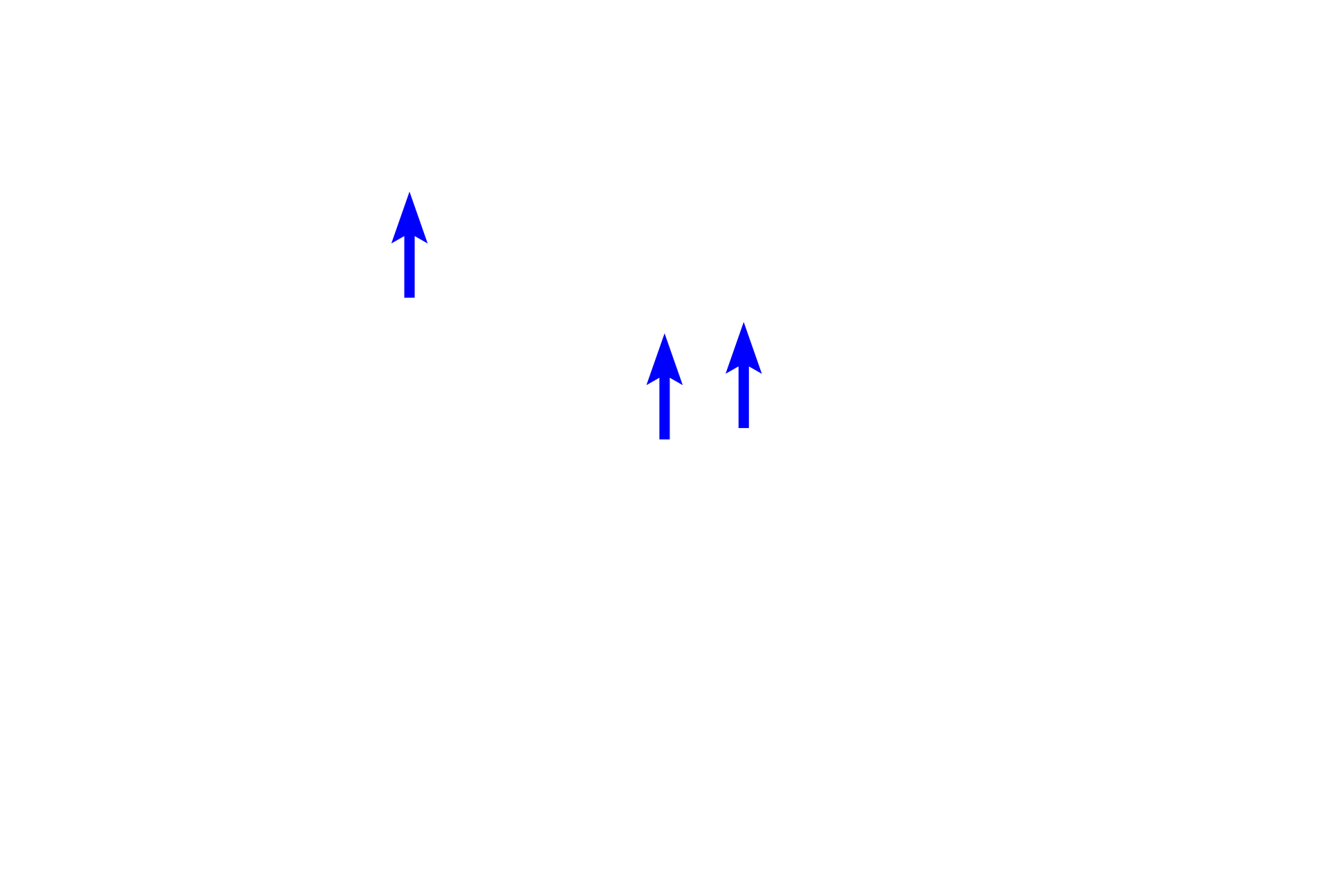 Endothelial cells <p>Sinuses of the lymph node are not open channels as are blood sinuses.  Rather, these sinuses are lined by an endothelium and are spanned by a meshwork of reticular fibers ensheathed by reticular cells. Thus, lymph flow is retarded, allowing macrophages, transported to the node through afferent lymphatics, to phagocytose antigenic material.</p>
