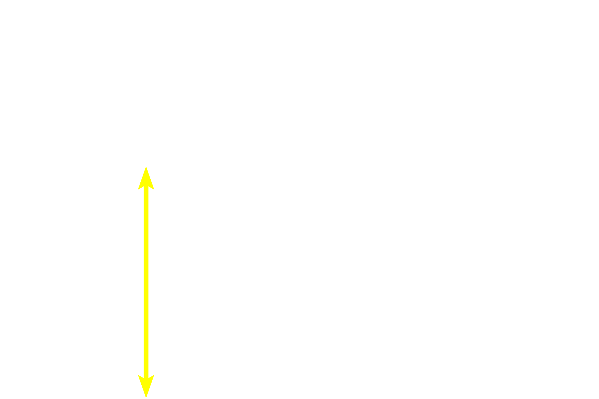 Outer cortex <p>Sinuses of the lymph node are not open channels as are blood sinuses.  Rather, these sinuses are lined by an endothelium and are spanned by a meshwork of reticular fibers ensheathed by reticular cells. Thus, lymph flow is retarded, allowing macrophages, transported to the node through afferent lymphatics, to phagocytose antigenic material.</p>
