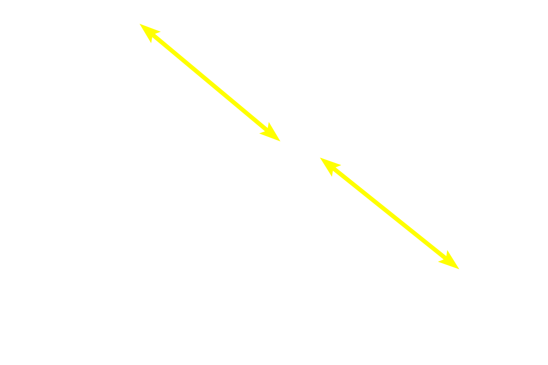  - Lymphoid nodules <p>The outer cortex of a lymph node is filled with B-dependent lymphoid nodules and lies just beneath the capsule and the subcapsular sinus.  A portion of two trabecular sinuses are also present, but these sinuses are difficult to appreciate as they are filled with cells.  100x</p>
