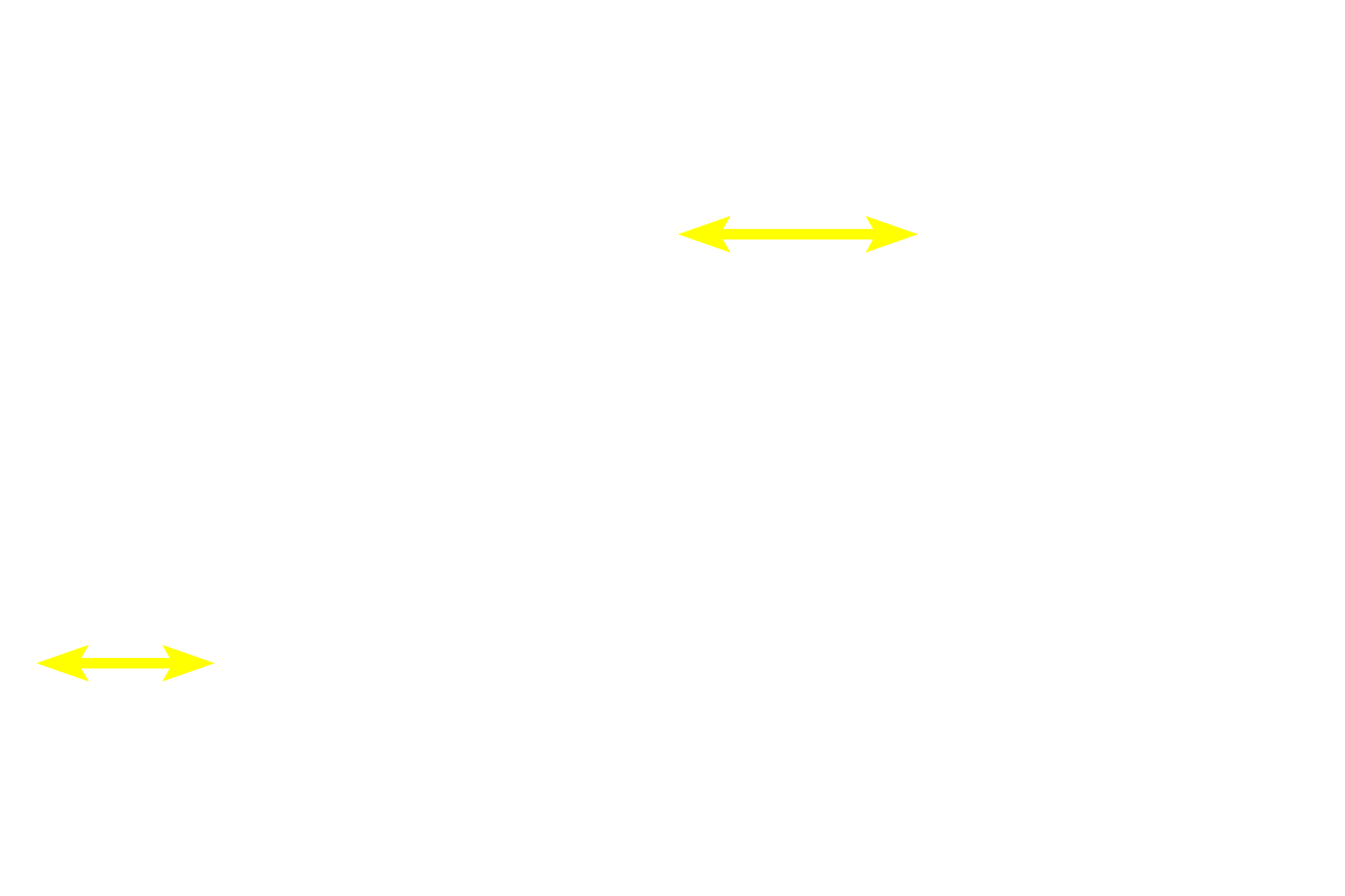   - Germinal centers <p>The outer portion of the cortex, filled with lymphoid nodules, is a B-dependent area.  Like all secondary nodules in the immune system, these nodules possess a germinal center with a light and dark region.  Antigen stimulation results in the formation of a germinal center that responds by producing additional B lymphocytes.</p>
