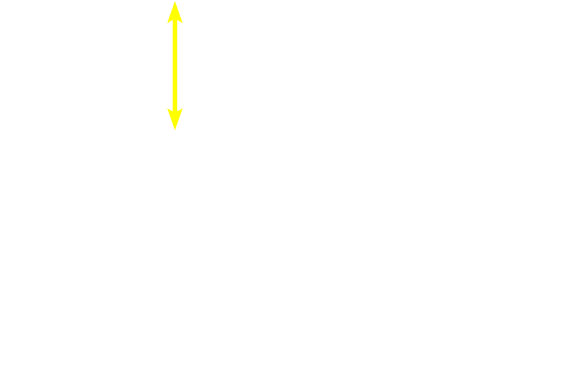 Lymphoid nodule <p>The paracortex or deep cortex is a T-dependent area possessing high endothelial venules (lined with simple cuboidal epithelium) and ordinary venules (lined by simple squamous epithelium). Lymphocytes leave the high endothelial venules to enter lymphatic tissue, where they initiate an immune response in the lymph node.  400x</p>
